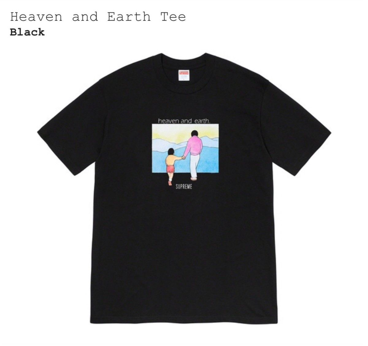 FW19 Supreme Heaven and Earth Tee - Black - L