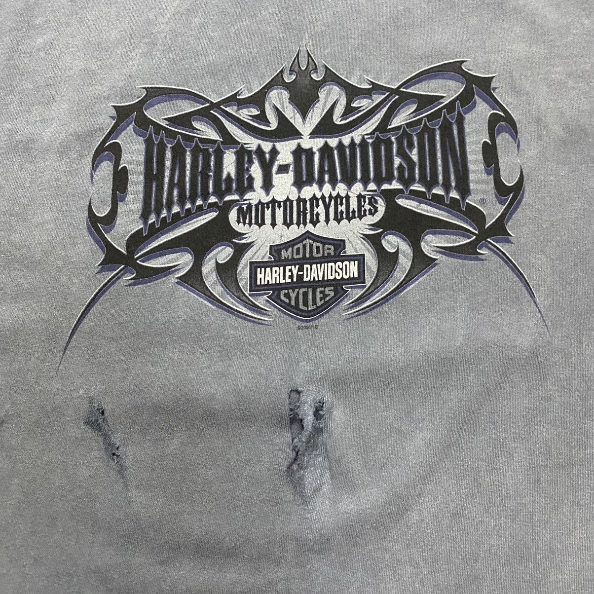 Harley Davidson Harley Davidson Vintage Y2K distressed ringer tee Size US L / EU 52-54 / 3 - 7 Thumbnail