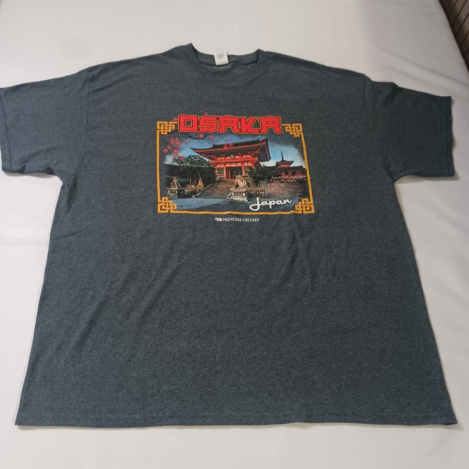 Gildan Gildan Heavy Cotton PRINCESS CRUISES Men's Gray T-Shirt 2XL Size US XXL / EU 58 / 5 - 1 Thumbnail