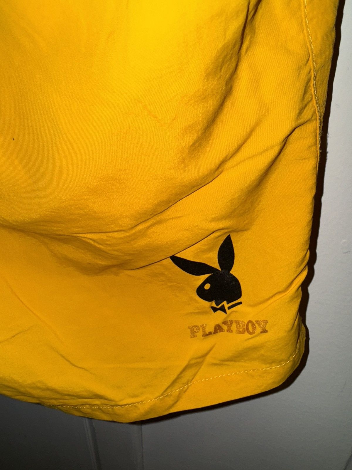 Pacsun × Playboy Playboy shorts Size US 32 / EU 48 - 2 Thumbnail