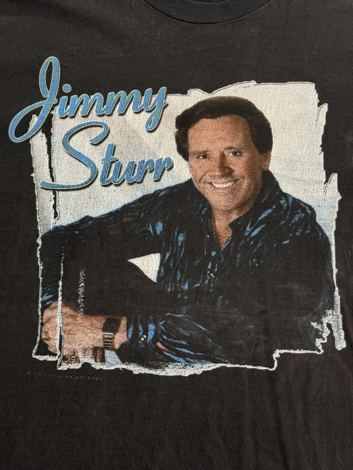 Delta Vintage Jimmy Sturr Tour T-shirt 2001 King of Polka Tee - L Size US L / EU 52-54 / 3 - 5 Thumbnail