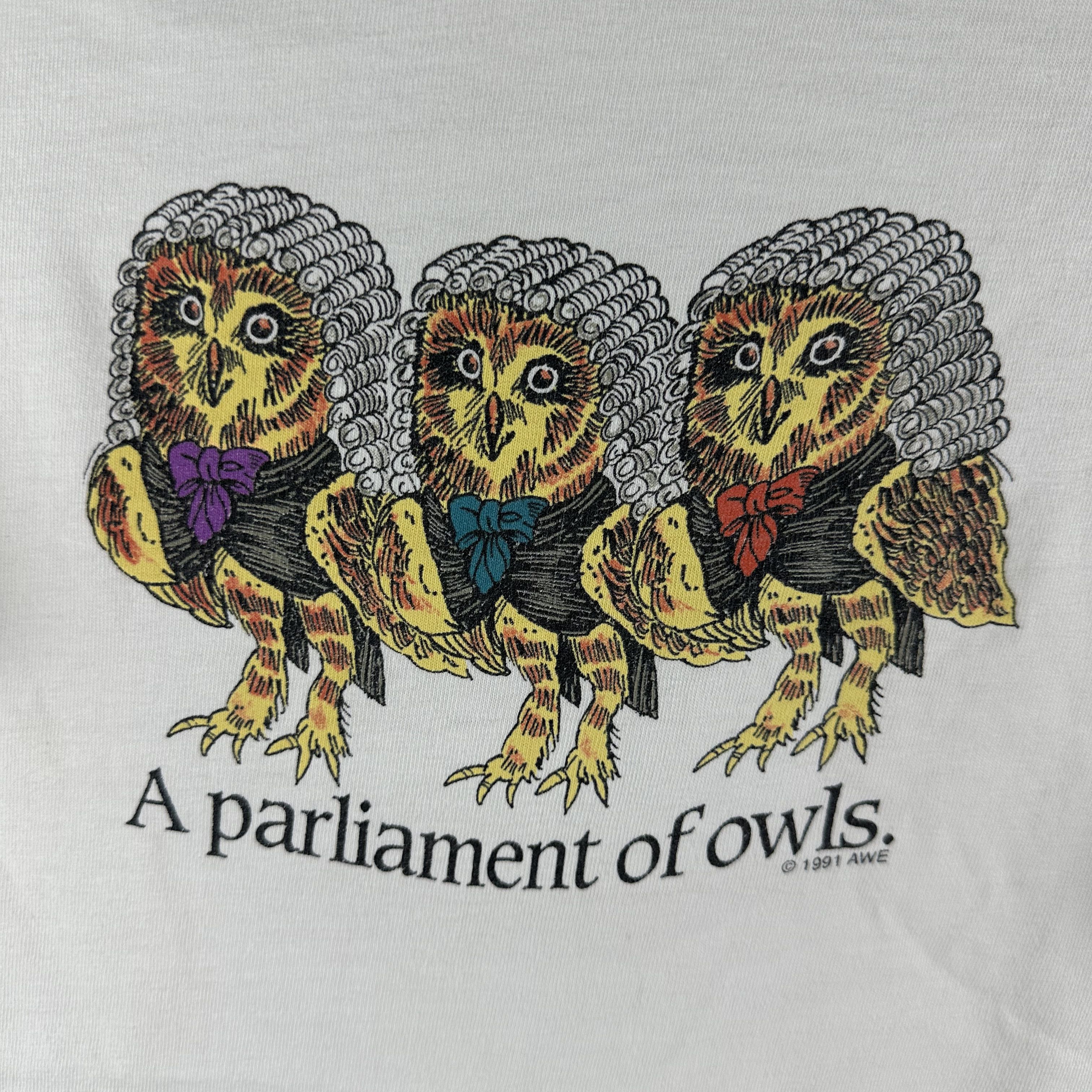 Vintage 1991 A Parliament of Owls Detroit Zoo Nature Art T-Shirt Size US L / EU 52-54 / 3 - 2 Thumbnail