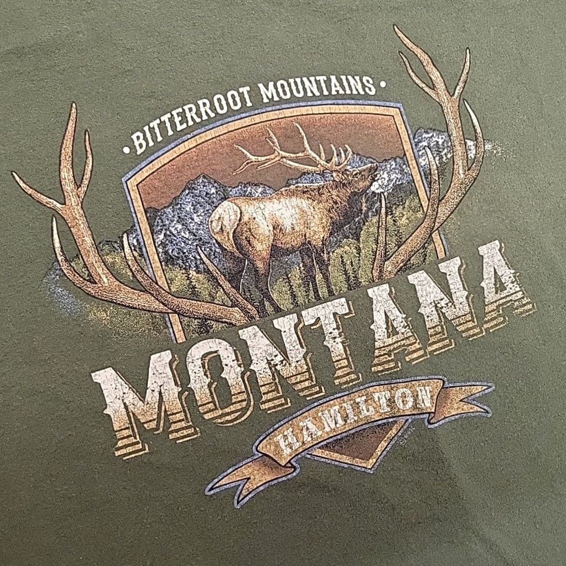 Hamilton Vintage Hamilton Montana Shirt Mens L Green Bitteroot Valley Outdoors Nature USA Western Graphic Print Crew Neck Cotton Jersey T-Shirt Boys Mens Size US L / EU 52-54 / 3 - 4 Thumbnail