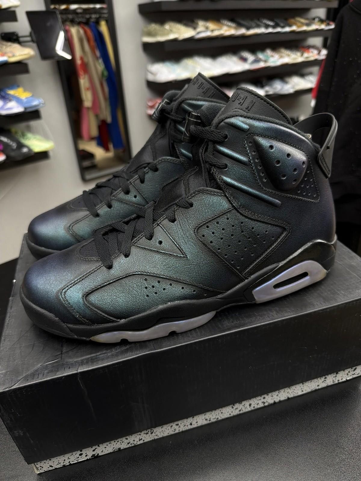 Jordan Brand Nike Air Jordan 6 All Star-Chameleon, Size 10 Brand New Size US 10 / EU 43 - 7 Thumbnail