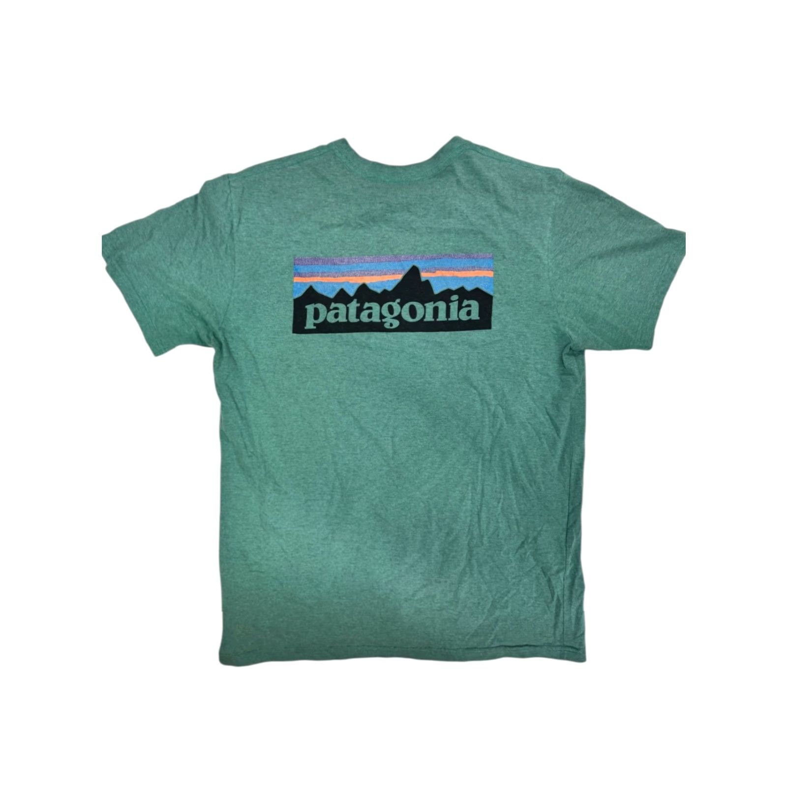 Patagonia Patagonia Responsibili-Tee Men's Large Green Graphic T-Shirt Size US L / EU 52-54 / 3 - 3 Thumbnail
