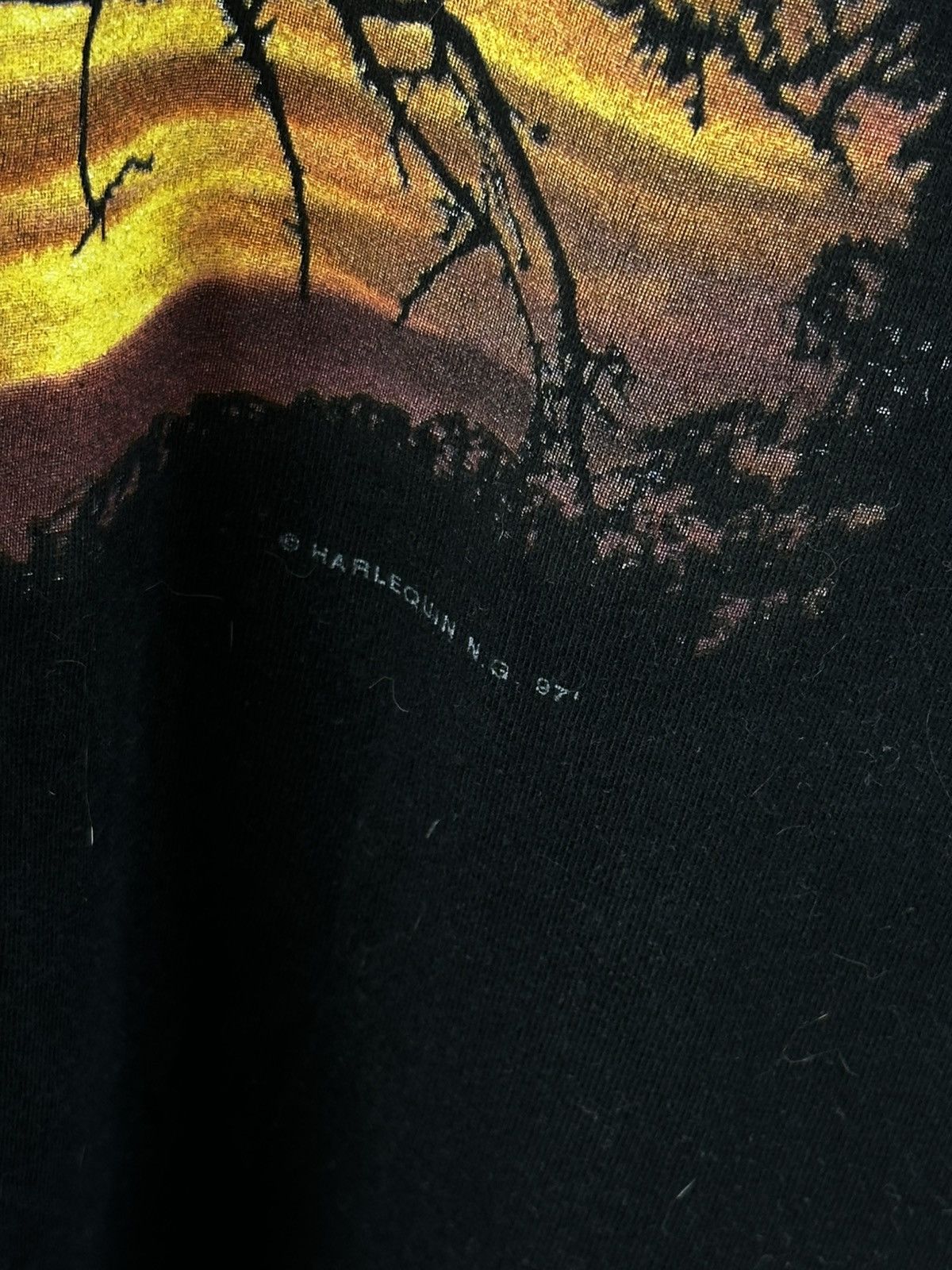 Vintage Vintage Y2K 90s Leopard Boxy Graphic Tee Single Stch Size US XL / EU 56 / 4 - 6 Thumbnail
