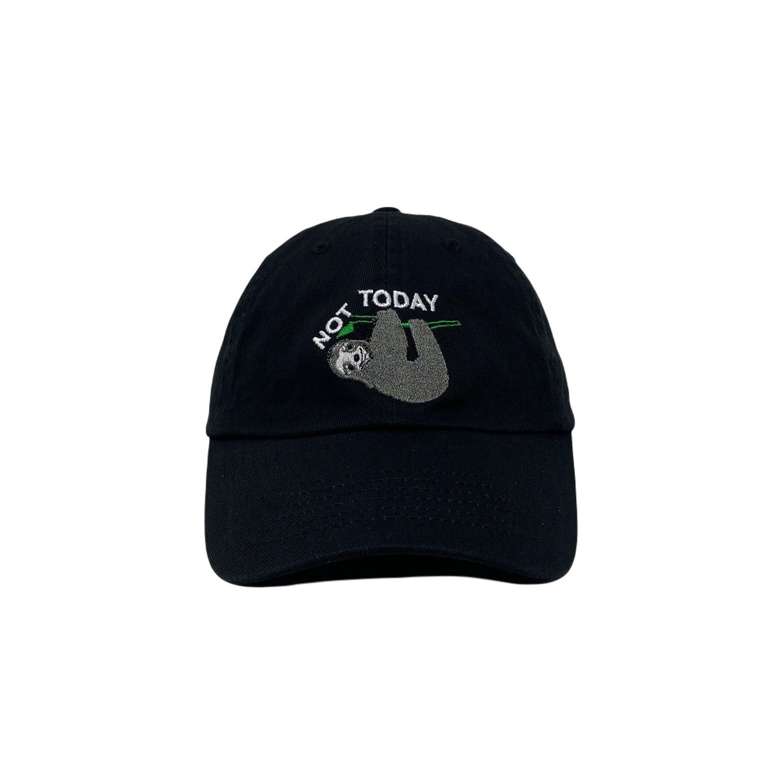Other Not Today Dad Hat Sleepy Sloth Behavior Three Toed Sloth Zoo Size ONE SIZE - 2 Thumbnail
