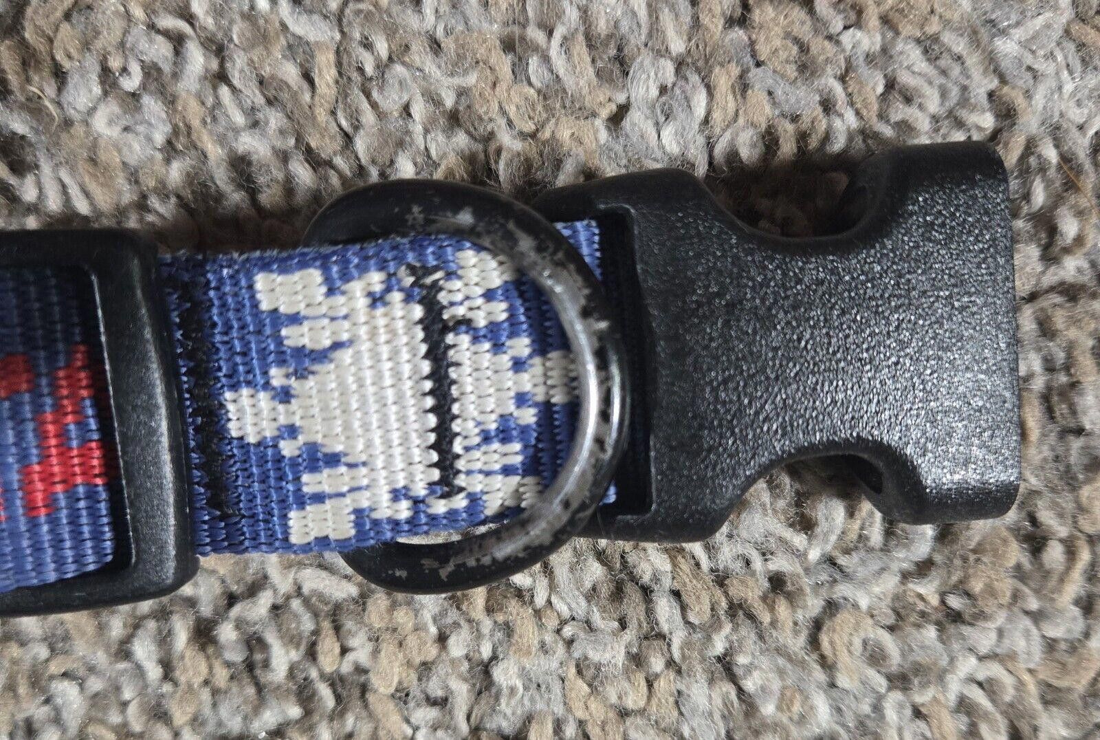 Designer Alta Red, White And Blue Snowflake Dog Collar For XXL Dogs Size ONE SIZE - 5 Thumbnail