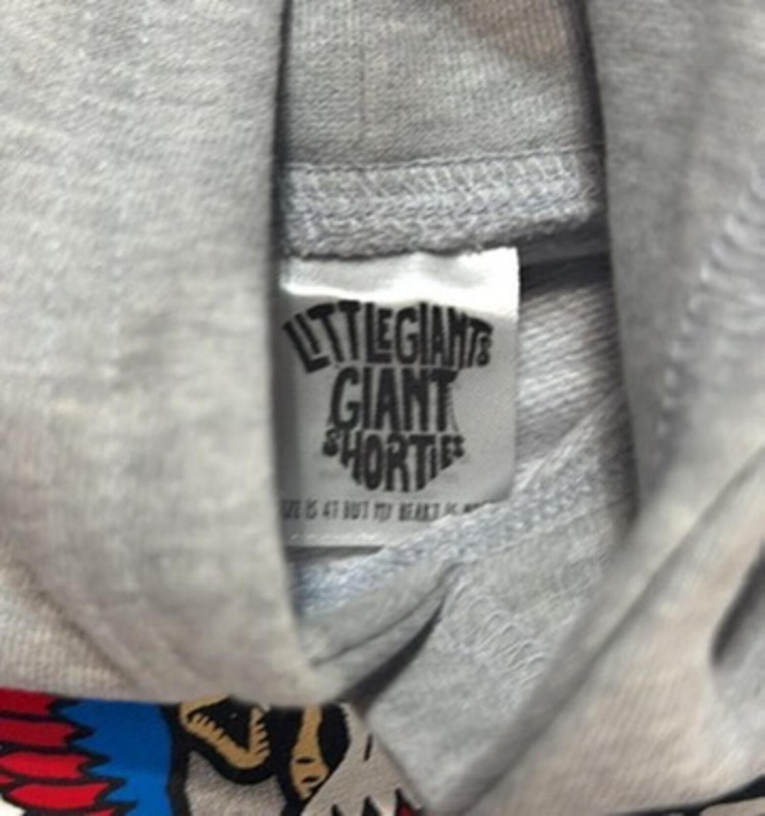 Other Diaperset x Diplomats Harlem World Eagle Kids Hoodie 4T Size US XXS / EU 40 - 5 Thumbnail