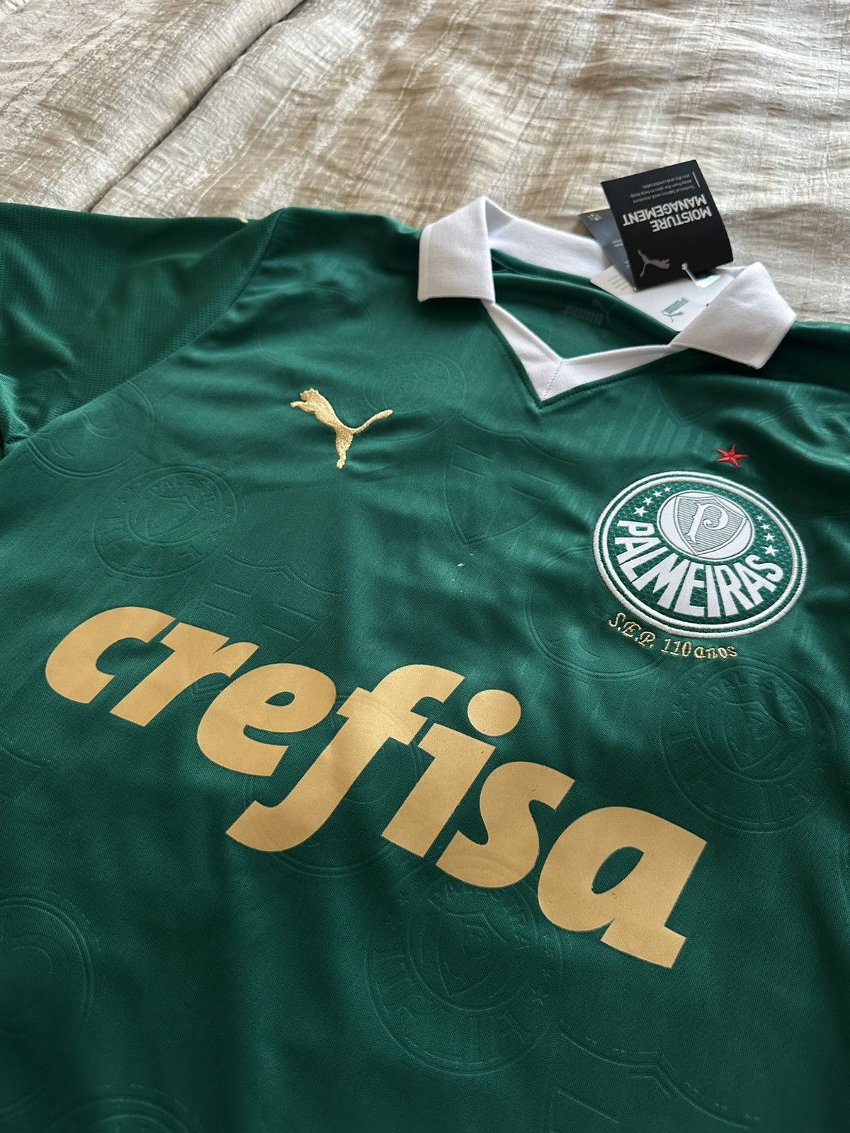 Puma Palmeiras Football team jersey Size US L / EU 52-54 / 3 - 2 Thumbnail