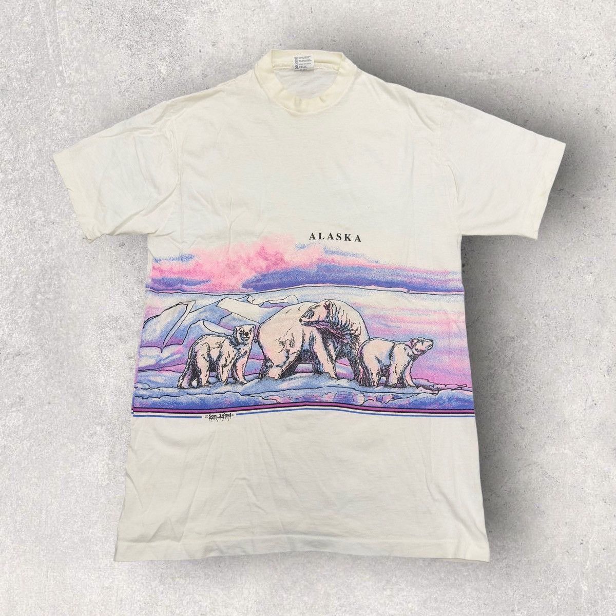 Anvil × Vintage Vintage Alaska tee Size US L / EU 52-54 / 3 - 1 Thumbnail