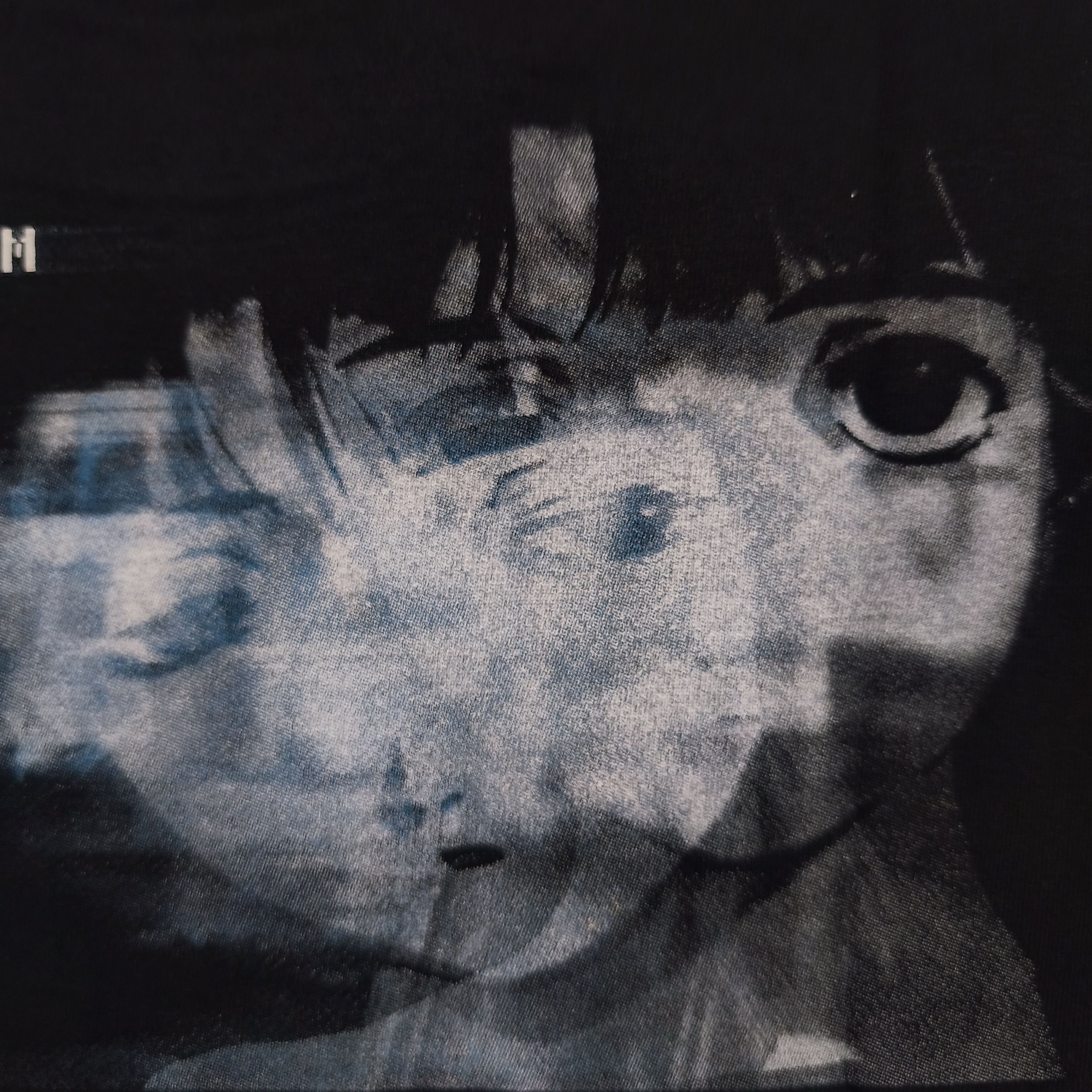 Anime Serial Experiments Lain "Have You Seen Lain" T-shirt Size US XL / EU 56 / 4 - 14 Thumbnail