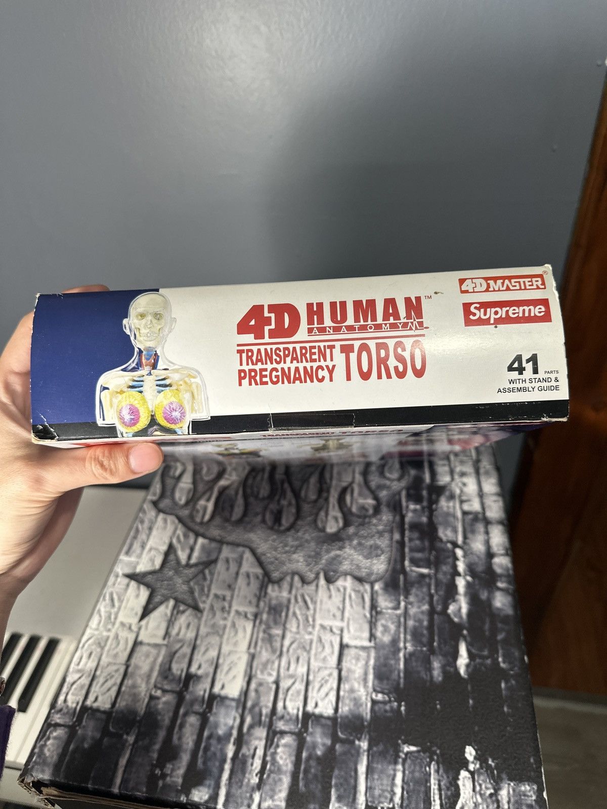 Supreme Supreme Transparent Pregnancy Torso Size ONE SIZE - 2 Thumbnail