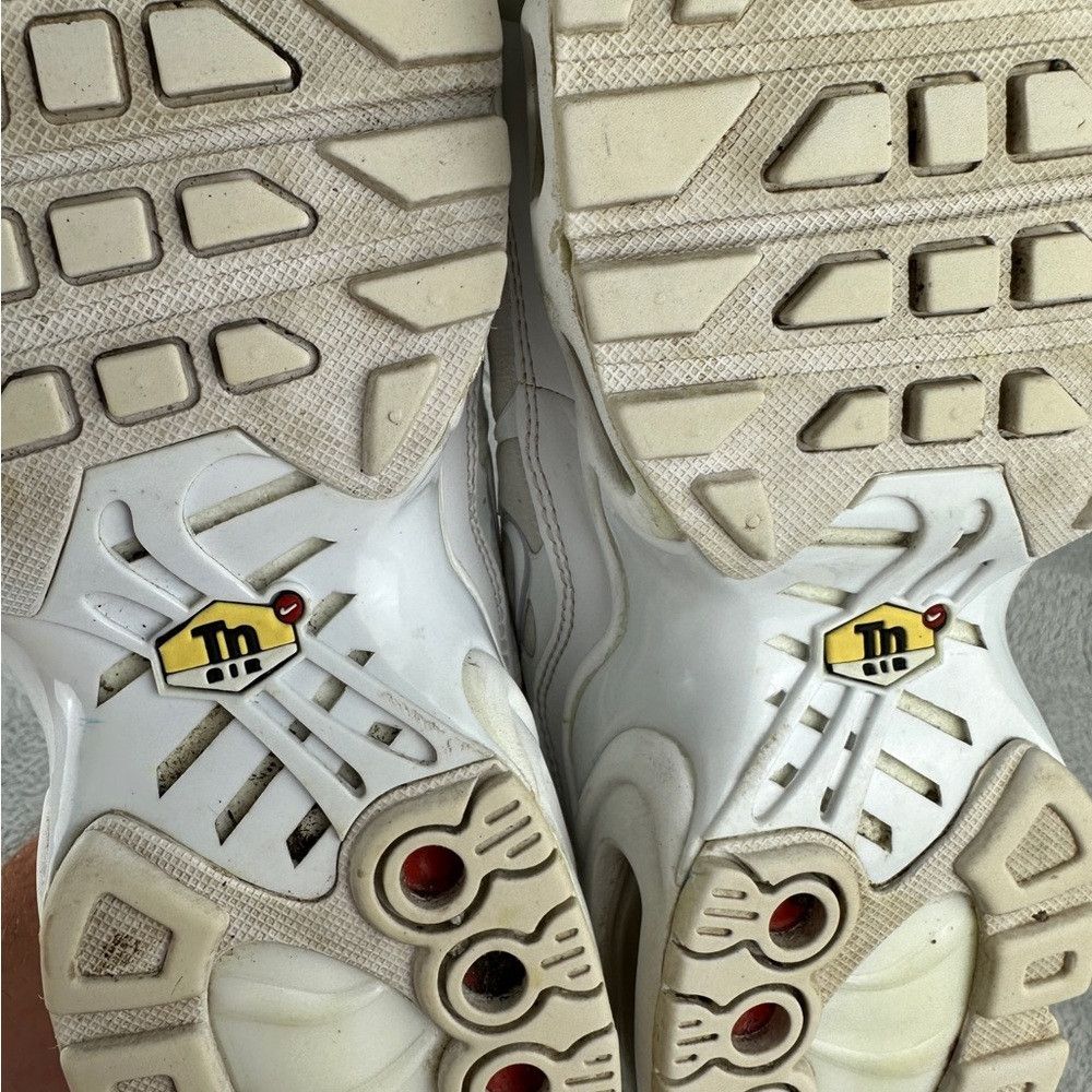 Nike Nike Air Max Plus White Metallic Silver (GS) Kids Size 5.5 Size US 5.5 / EU 38 - 9 Thumbnail