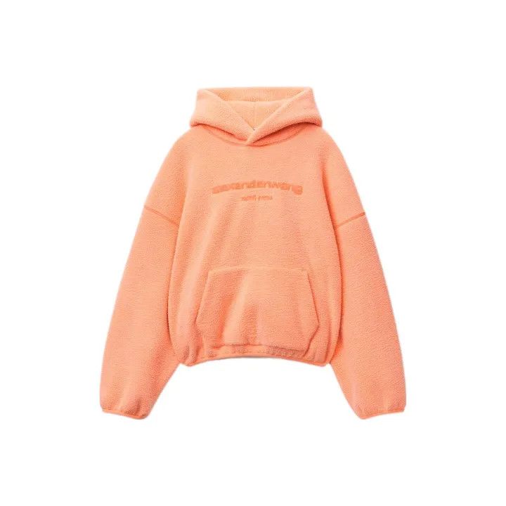 Alexander Wang Alexander Wang FW22 Letter Print Hoodie 0079 Size XS / US 0-2 / IT 36-38 - 1 Thumbnail