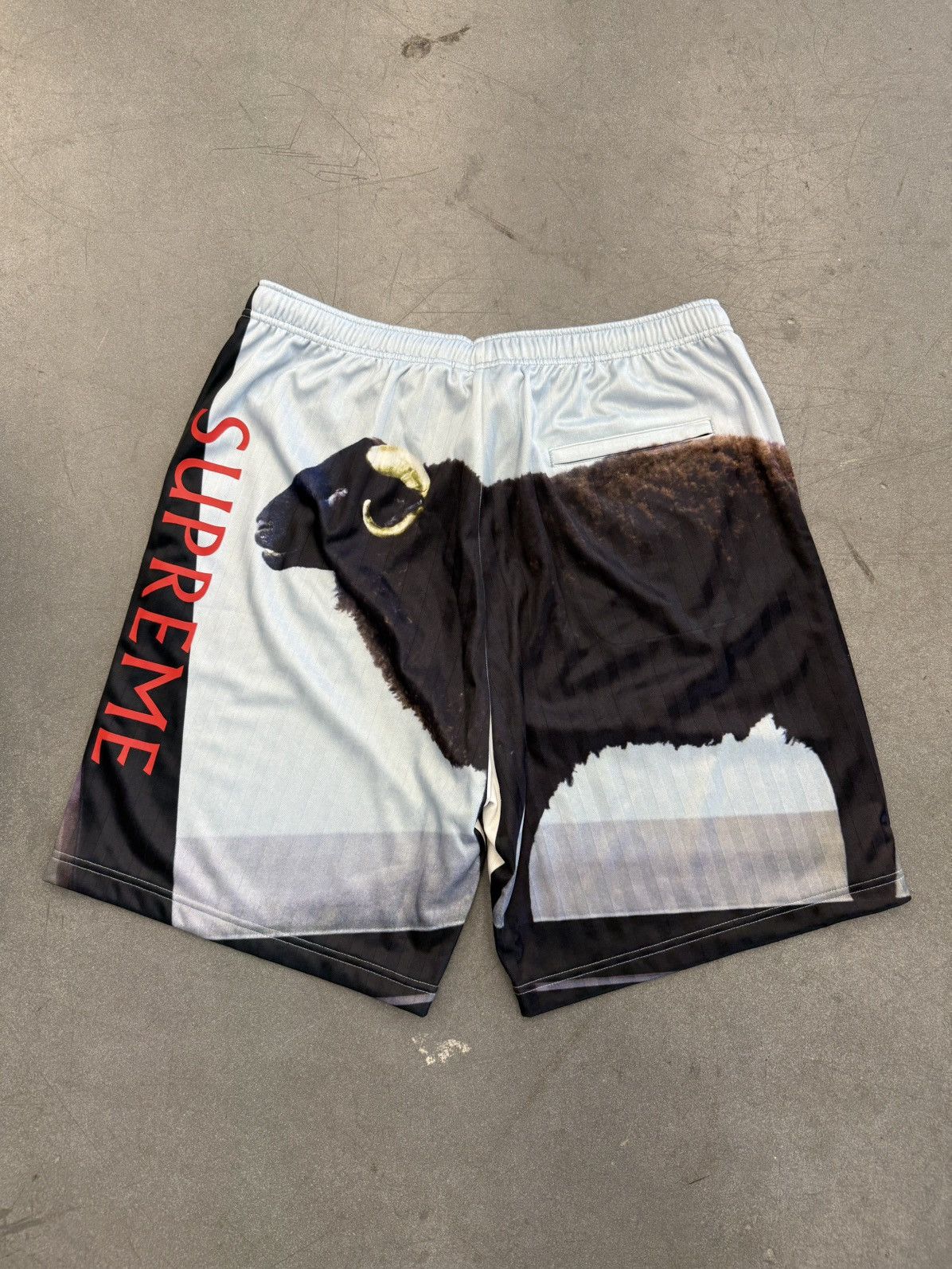 SS25 Supreme Damien Hirst Soccer Shorts