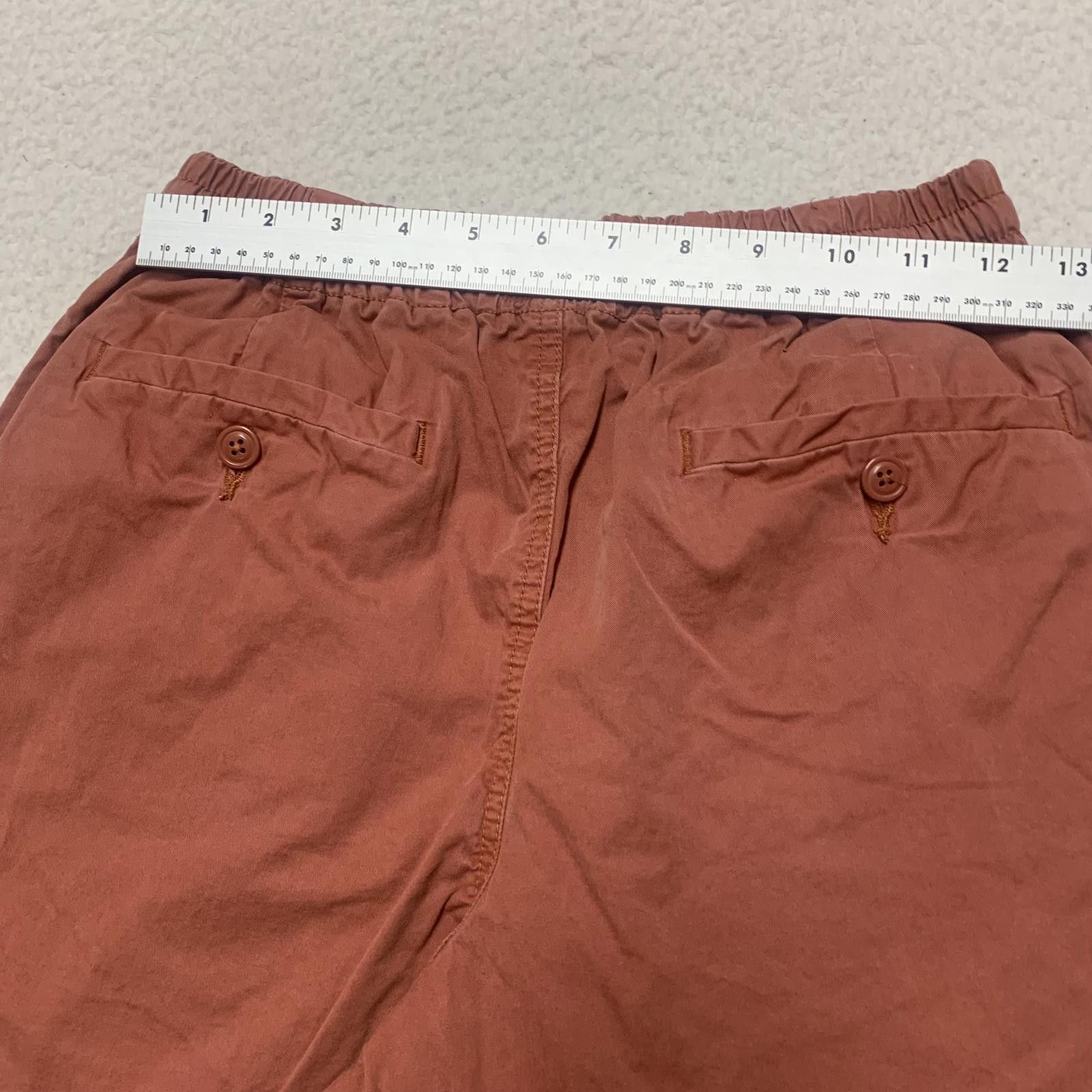 J.Crew J. Crew Men's XS Brick Red Casual Shorts Cotton Size US 28 / EU 44 - 8 Thumbnail