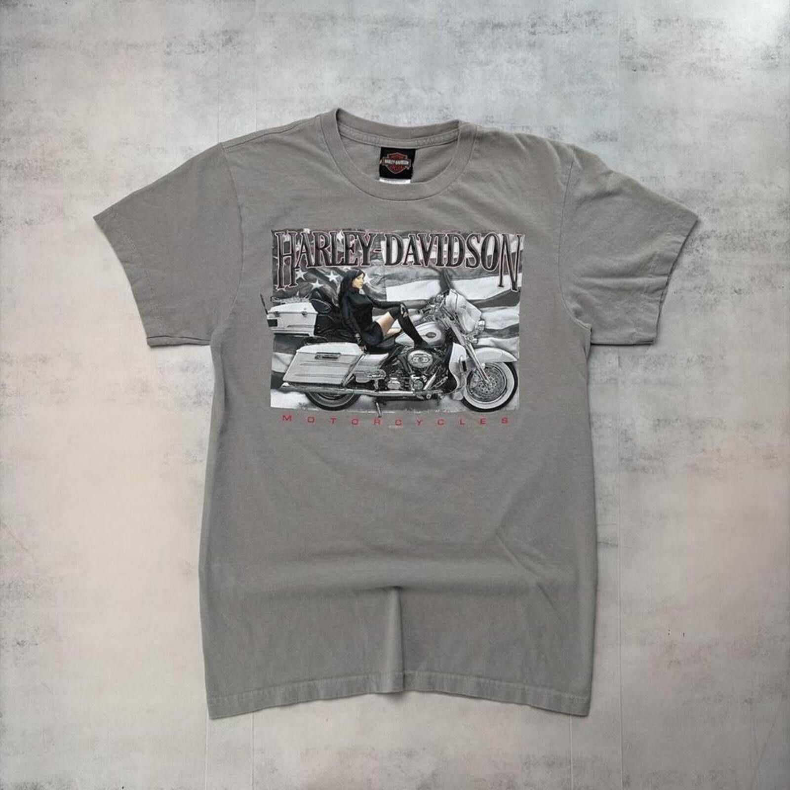Harley Davidson Y2K Grey Harley Davidson Grunge Rocky Mountain Biker T-Shirt Size US S / EU 44-46 / 1 - 1 Thumbnail