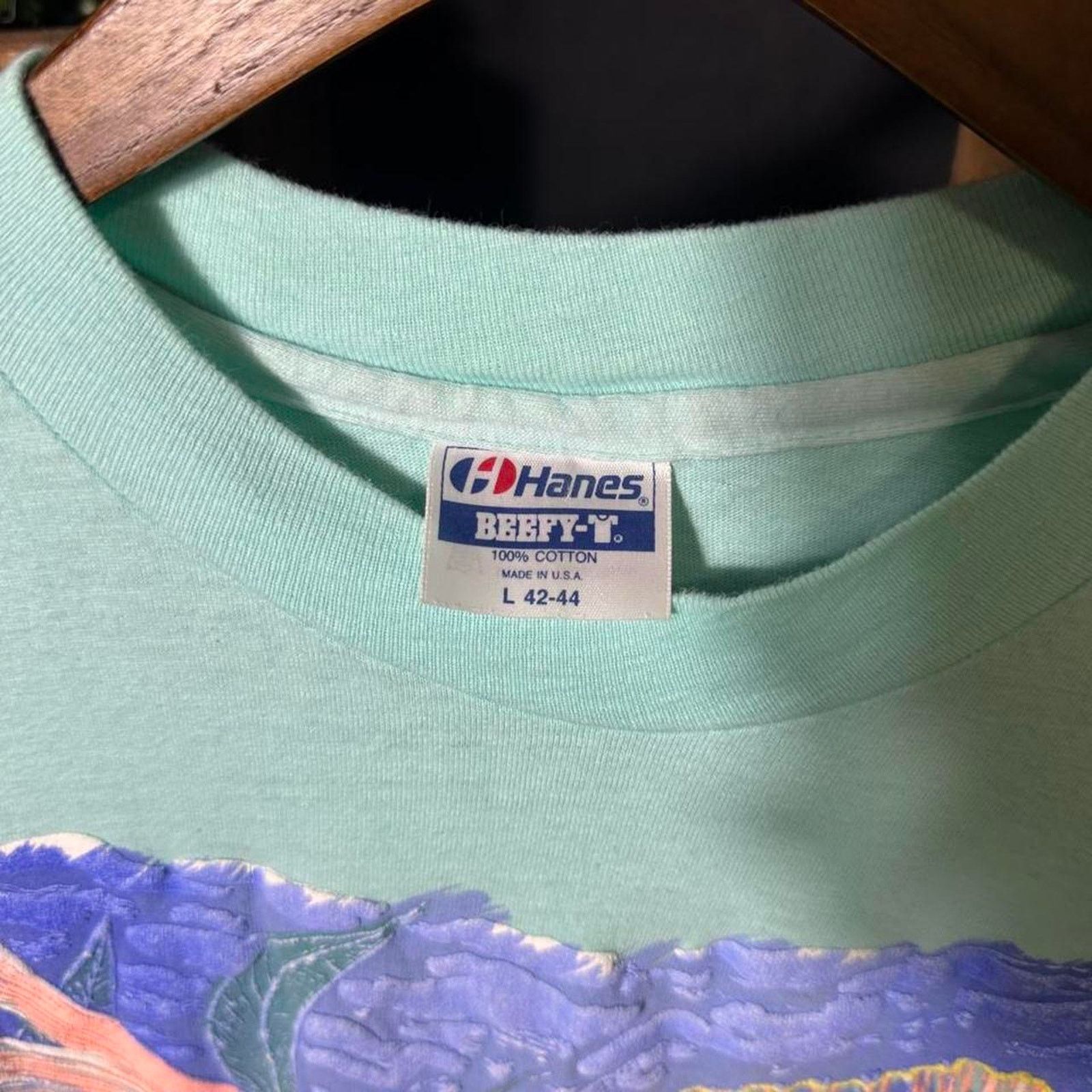 Fruit Of The Loom Vintage 90s Single Stitch St. Augustine Goldfish Tee Shirt Size US L / EU 52-54 / 3 - 3 Thumbnail