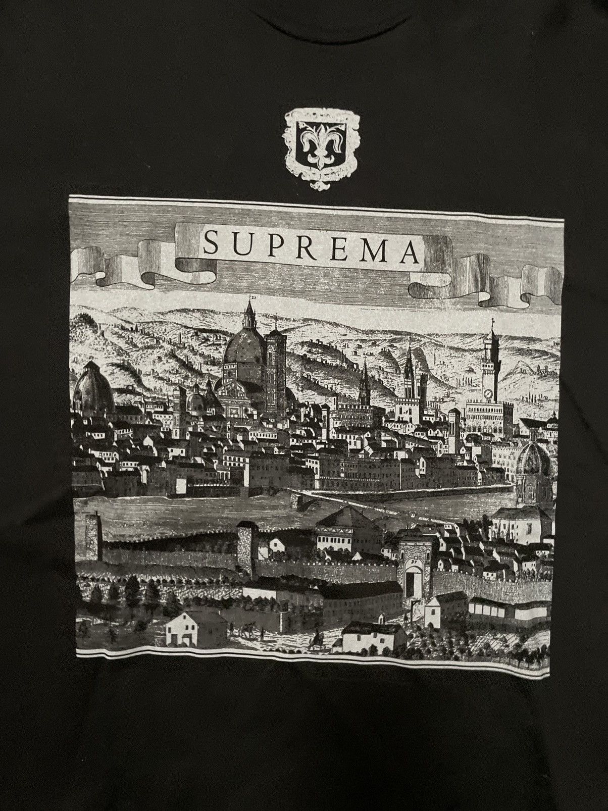 Supreme Supreme “Fiorenza” Tee Size US L / EU 52-54 / 3 - 2 Thumbnail