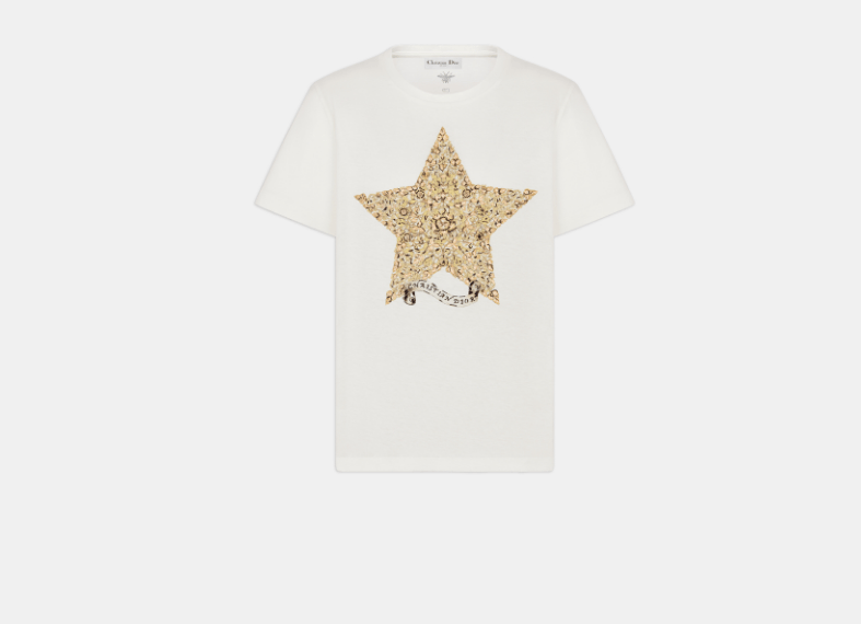 Dior o1w1db10326 513T09 Embroidered T-Shirt in White/Gold Size XL / US 12-14 / IT 48-50 - 1 Thumbnail