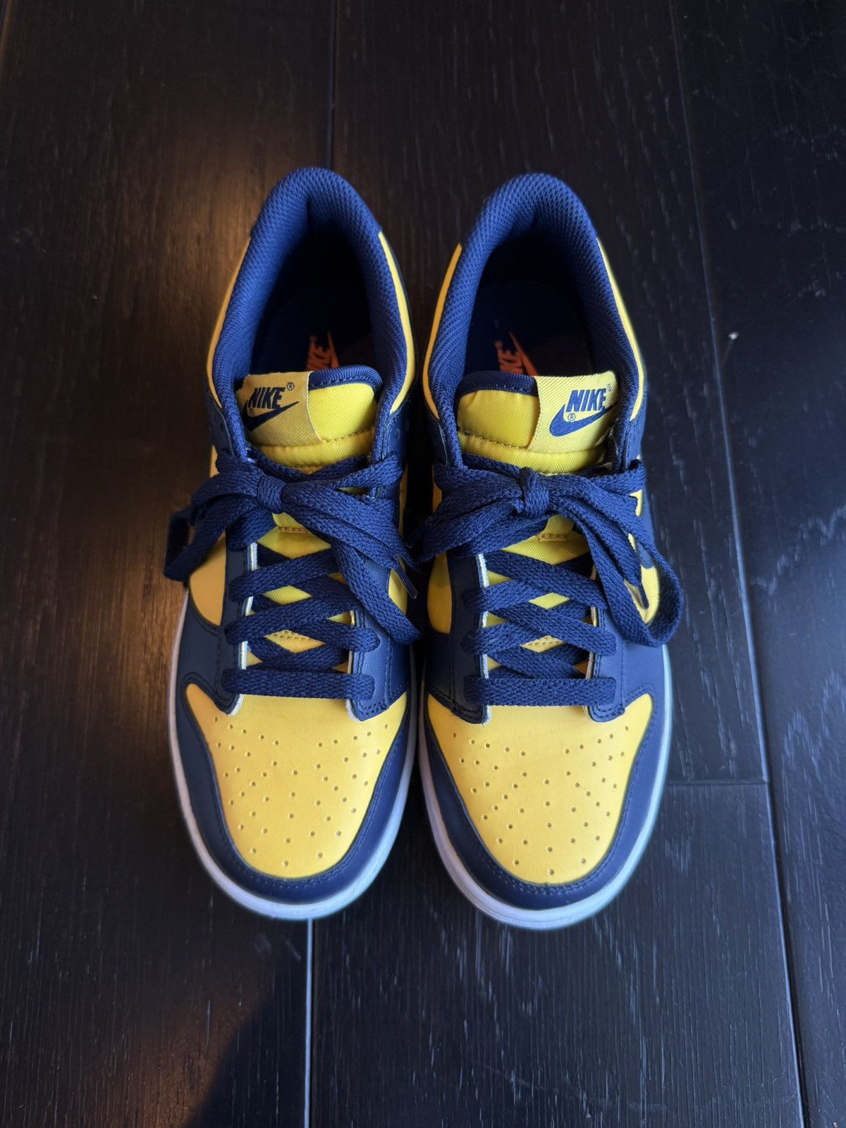 Nike Michigan Dunks
