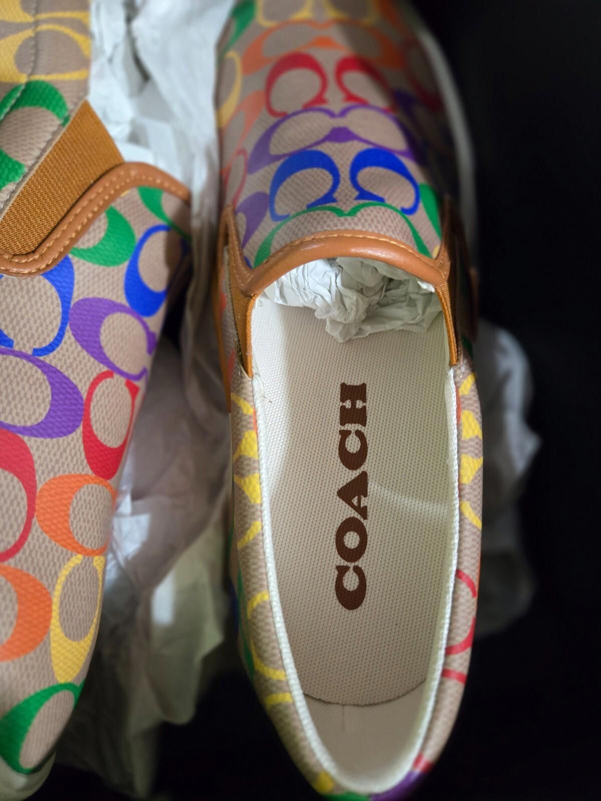 Coach Men's COACH Pride Rainbow Skate SlipOn Sneaker Tan 12 D NWT Size US 12 / EU 45 - 5 Thumbnail