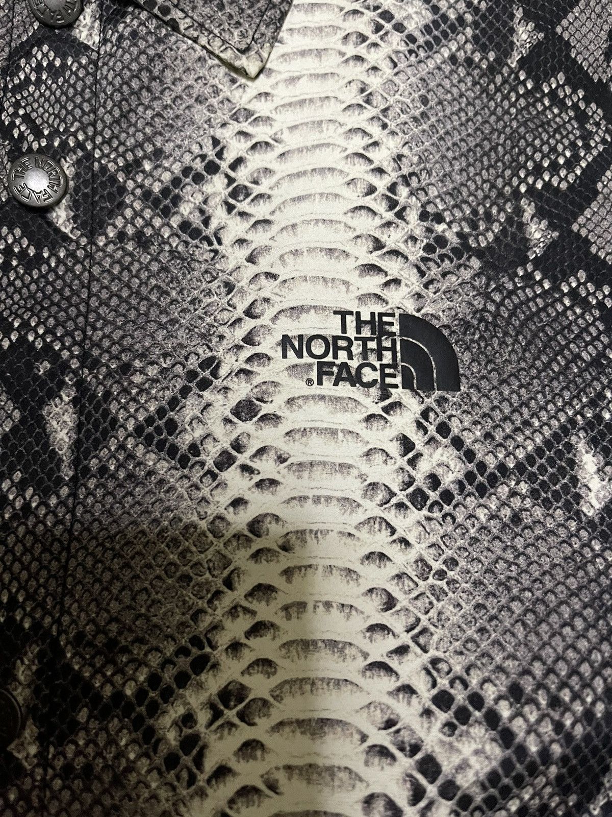 Supreme × The North Face Supreme tnf the north face snakeskin taped seam coach Jacket Size US L / EU 52-54 / 3 - 4 Thumbnail