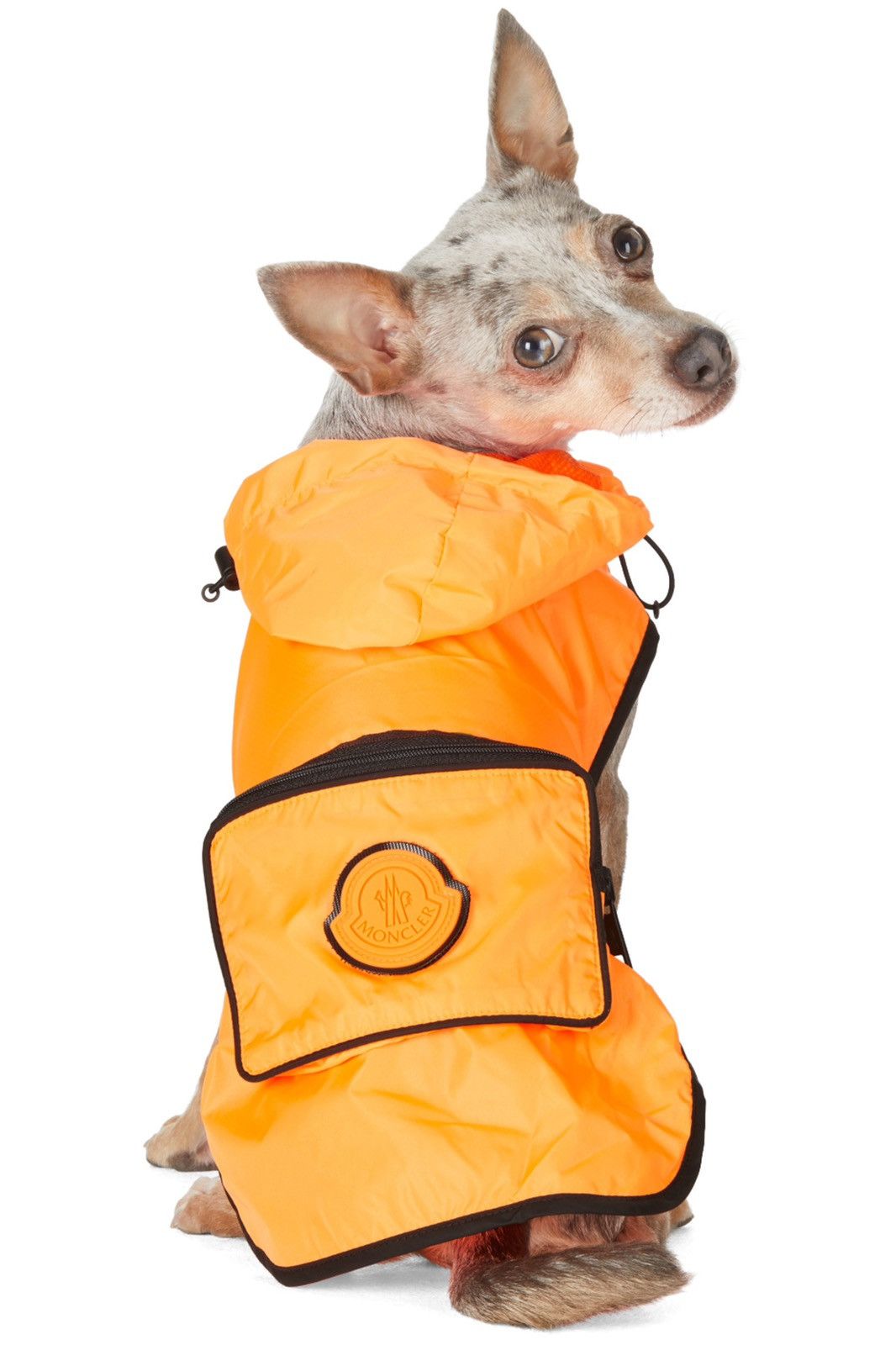 Moncler × Moncler Genius Moncler Genius x Poldo Dog Jacket Orange Size ONE SIZE - 4 Thumbnail