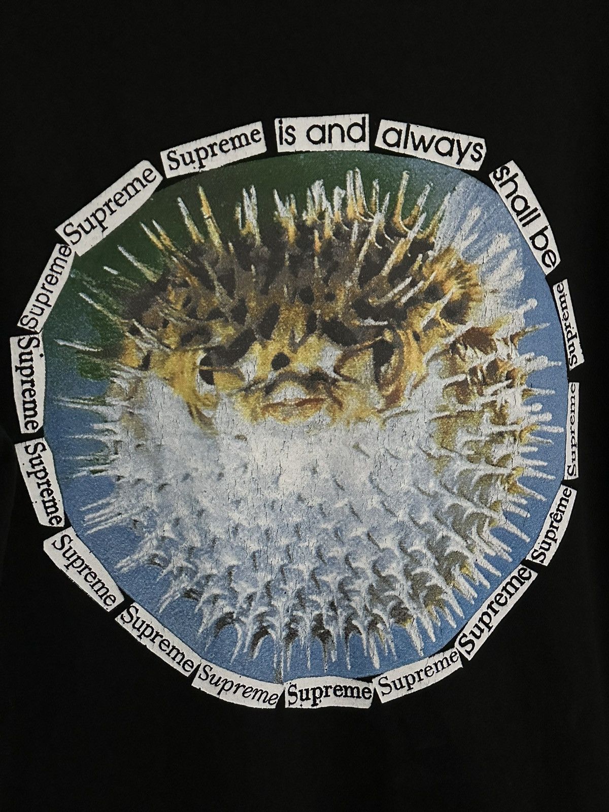 Supreme Supreme Blowfish Tee Size US M / EU 48-50 / 2 - 2 Thumbnail