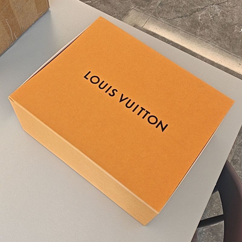 Louis Vuitton Louis Vuitton Trainer Low-Top Fashion Sneakers -2508 Size US 11 / EU 44 - 6 Thumbnail