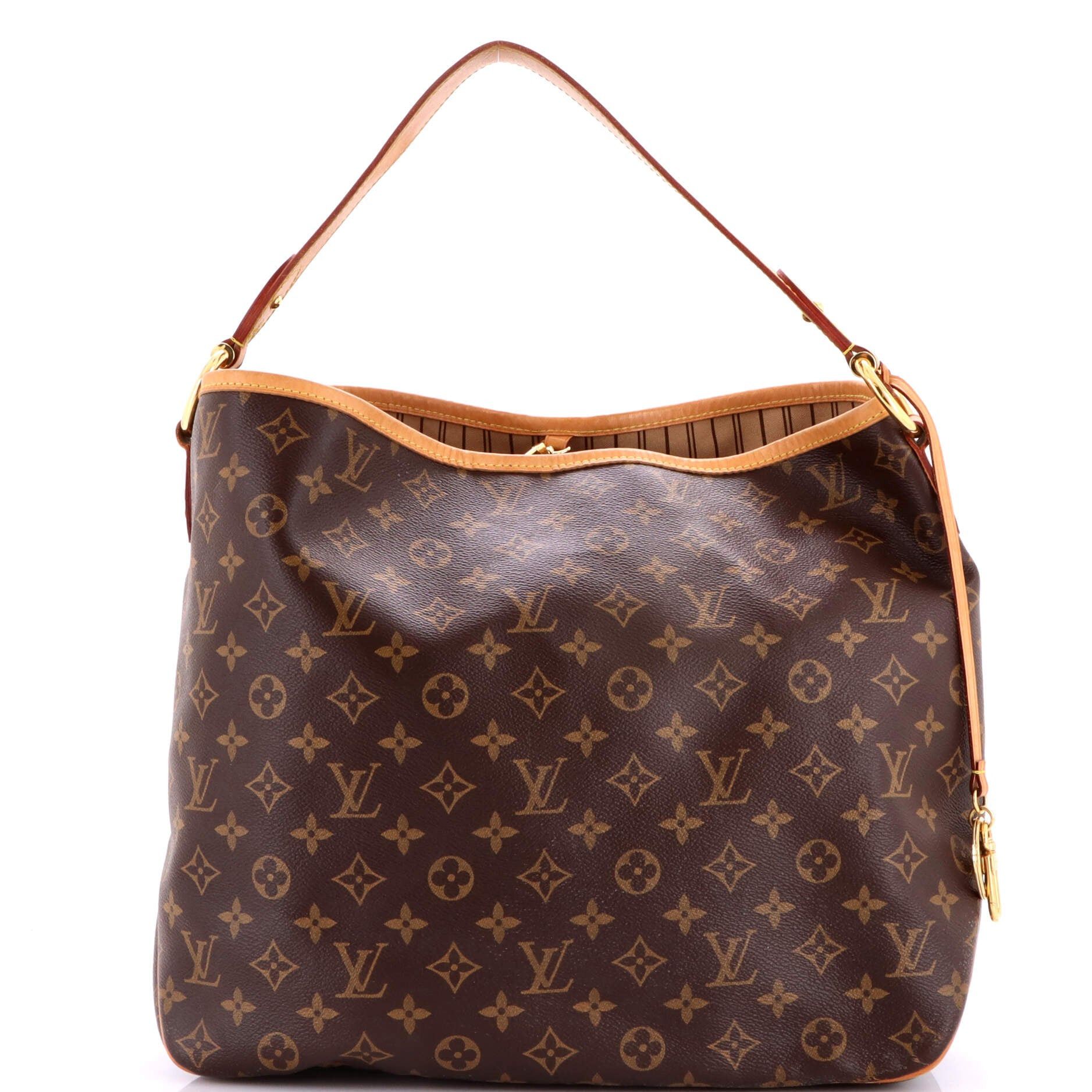 Louis Vuitton Delightful NM Handbag Size ONE SIZE - 1 Thumbnail