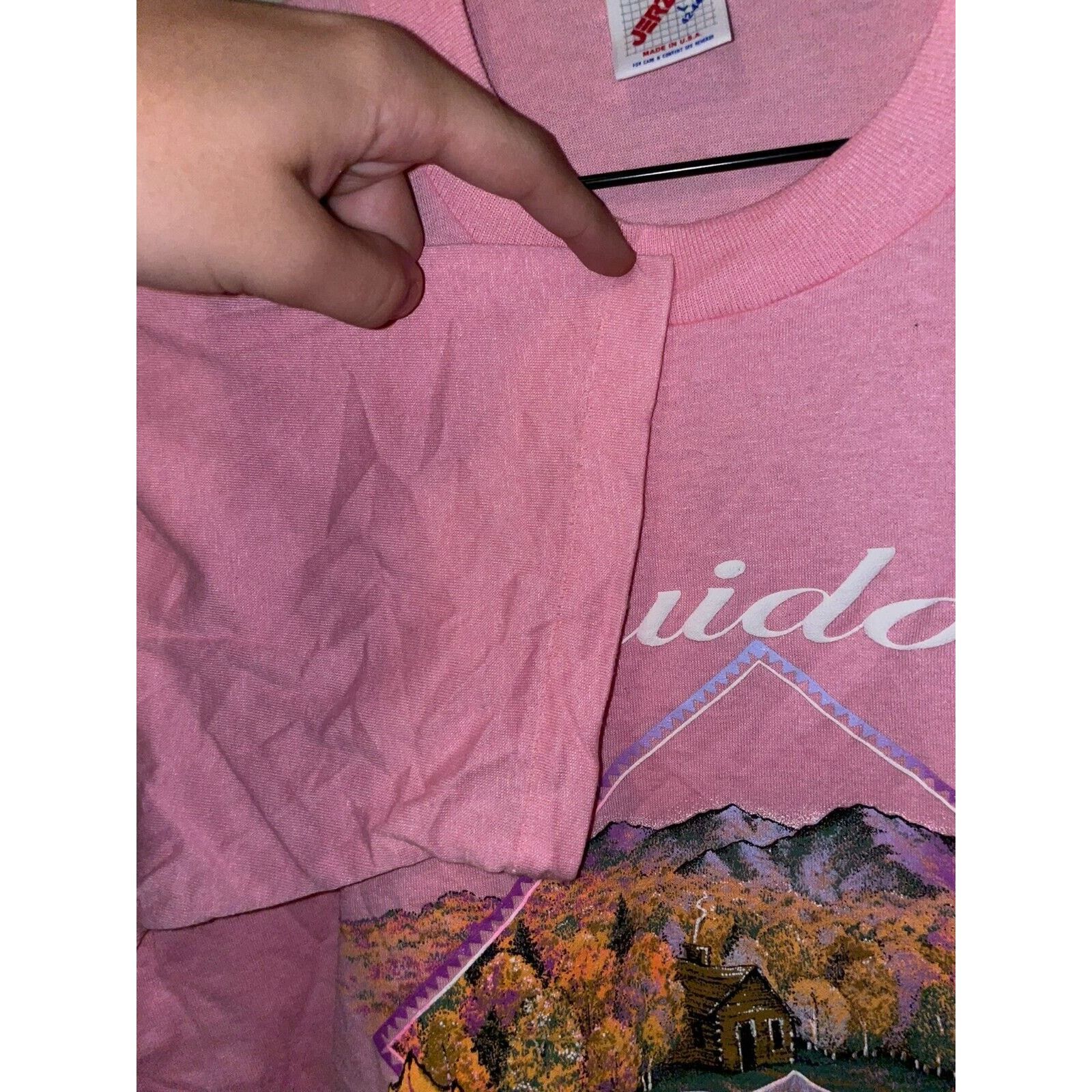 Jerzees Vintage Ruidoso New Mexico Shirt Fall Leaves Tree Tee VTG L Size US L / EU 52-54 / 3 - 8 Thumbnail