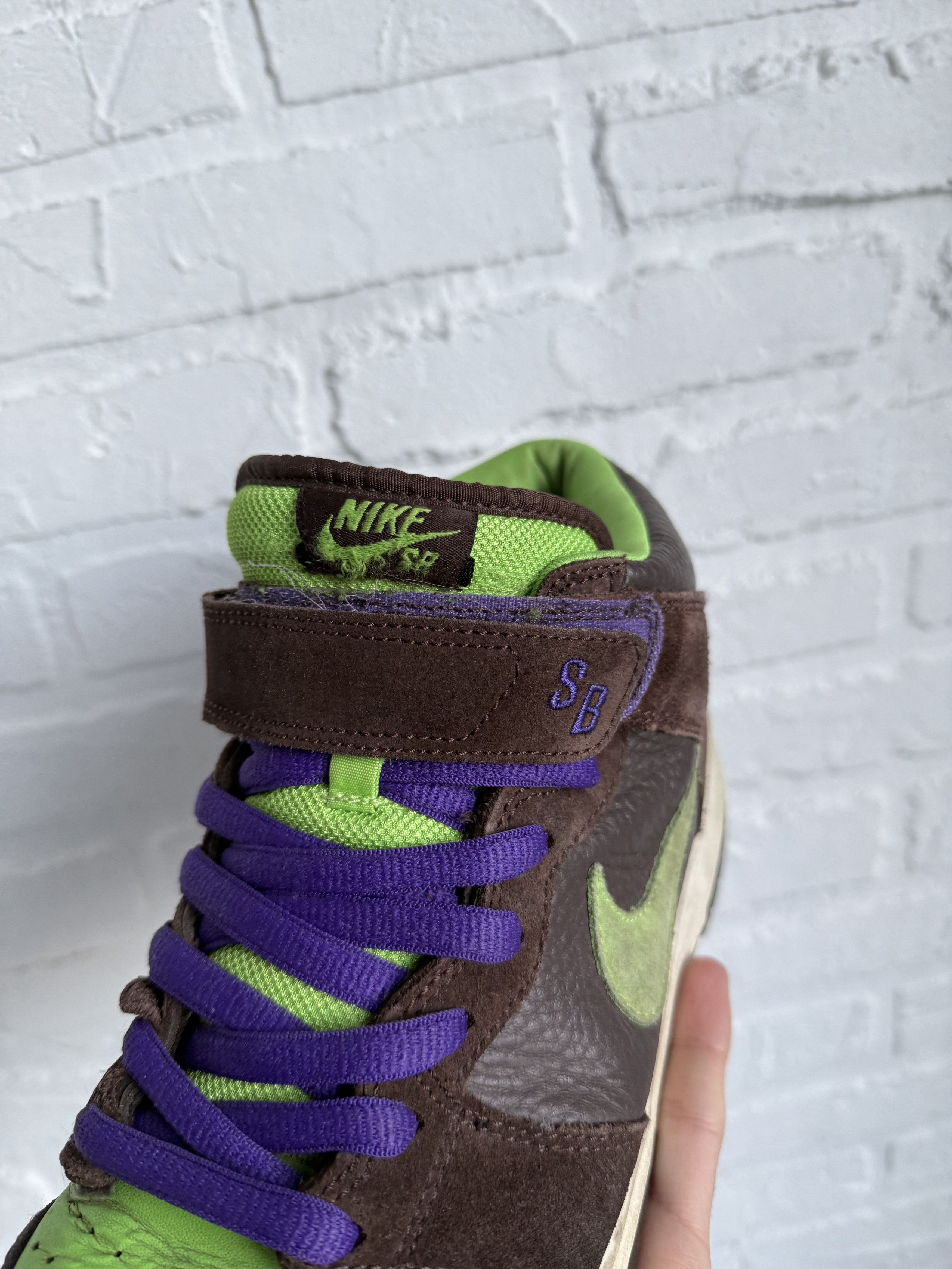 Nike Dunk Pro SB Mid Donatello 314383-231