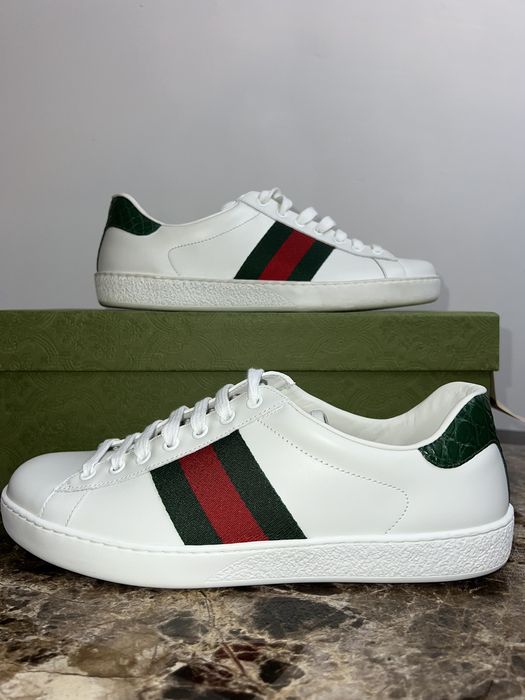 Gucci ace crocodile on sale