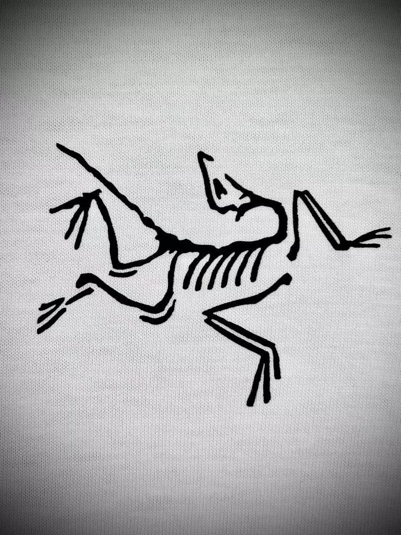 Arc'teryx Arcteryx Multi Bird Logo Long Sleeve T-Shirt Size US XL / EU 56 / 4 - 8 Thumbnail