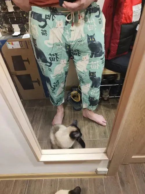 Other Streetwear Man Summer Harem Pants Printed Size US 32 / EU 48 - 2 Thumbnail