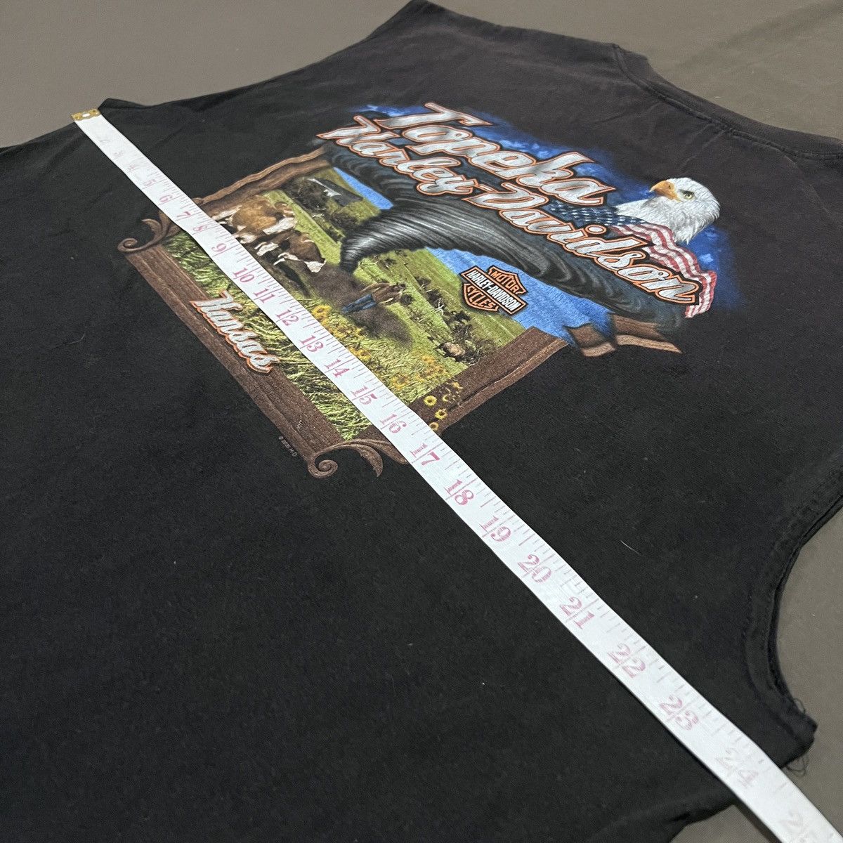 Harley Davidson Vintage Y2K Harley Davidson Topeka Kansas Sleeveless Shirt Size US XL / EU 56 / 4 - 10 Thumbnail