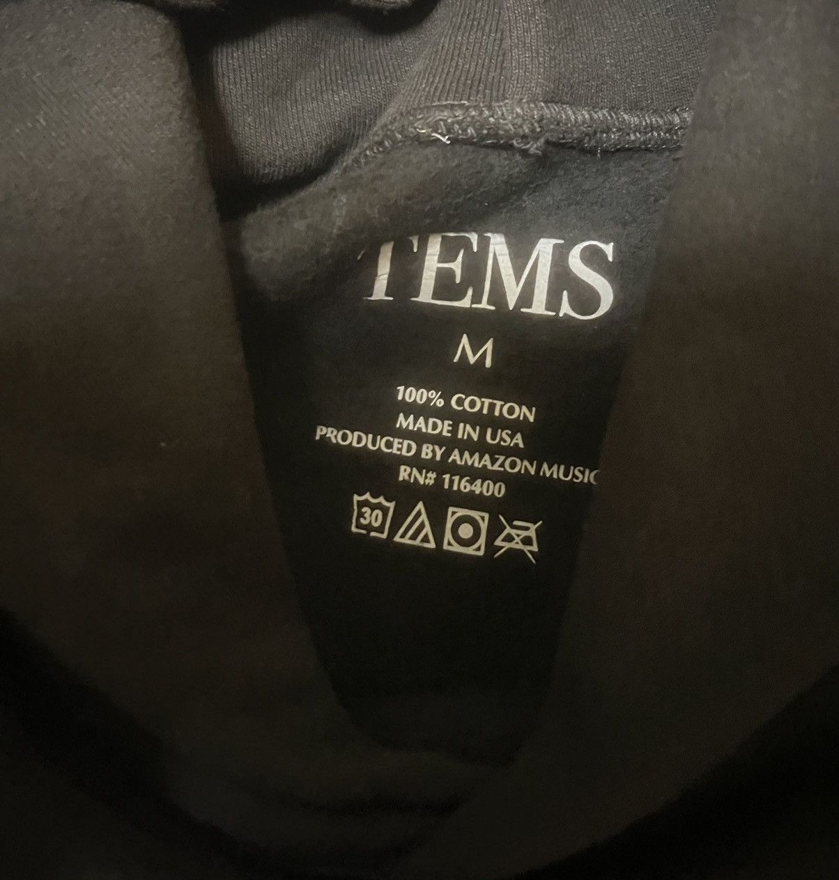 Band Tees Tems Born in the Wild World Tour Hoodie size Medium Size US M / EU 48-50 / 2 - 5 Thumbnail
