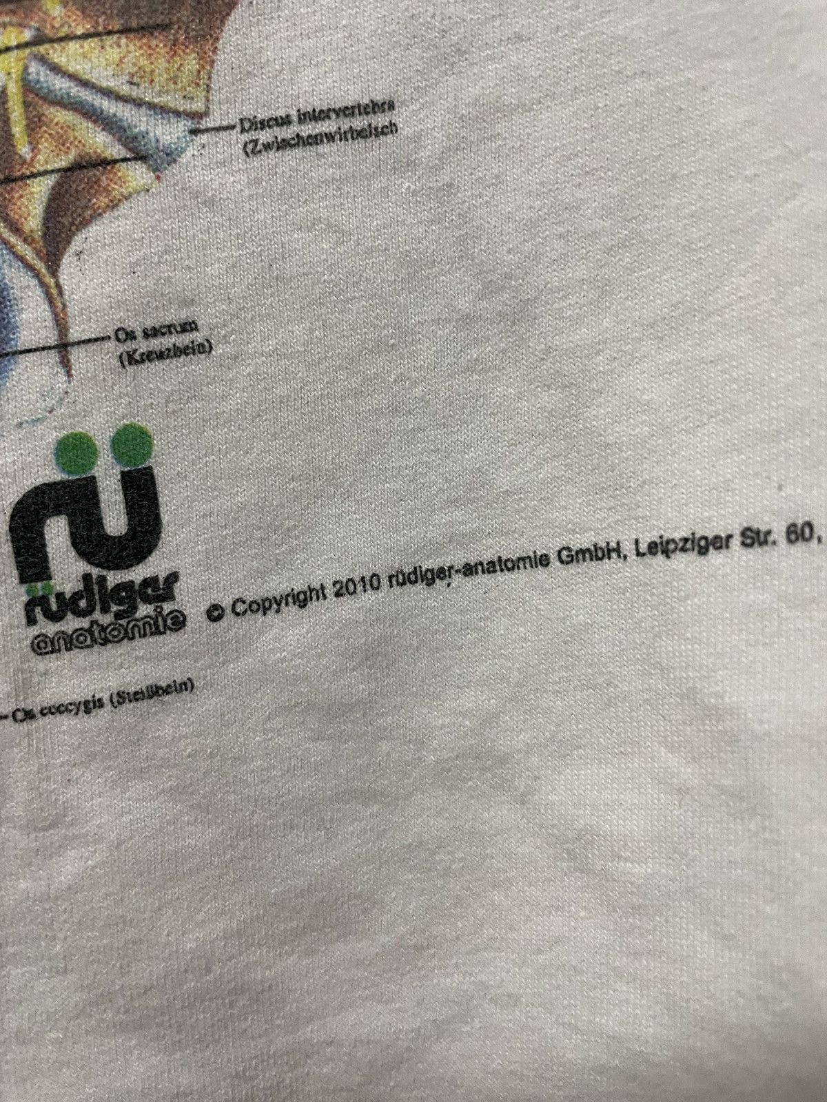 Arts & Science × Band Tees × Vintage Skeleton Anatomy Rudiger 2010 Spinal Collum Science T Shirt Size US L / EU 52-54 / 3 - 7 Thumbnail