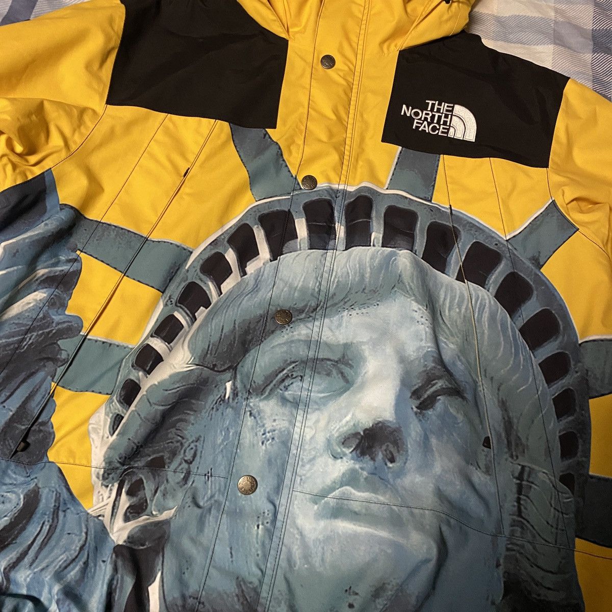 Supreme North Face Statue Of Liberty | Grailed