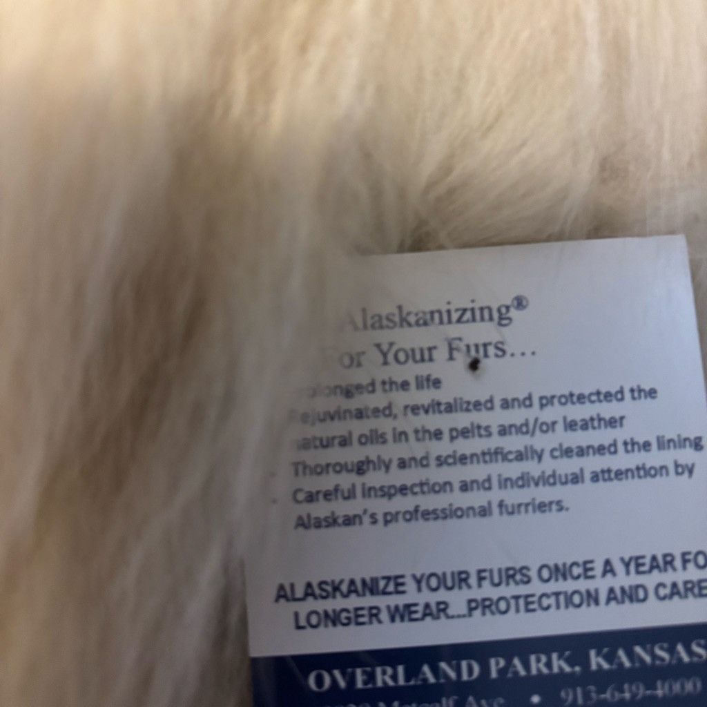 Other Women's Alaskan Custom Built Furs Natural Blue Fox Coat Size L / US 10 / IT 46 - 3 Thumbnail