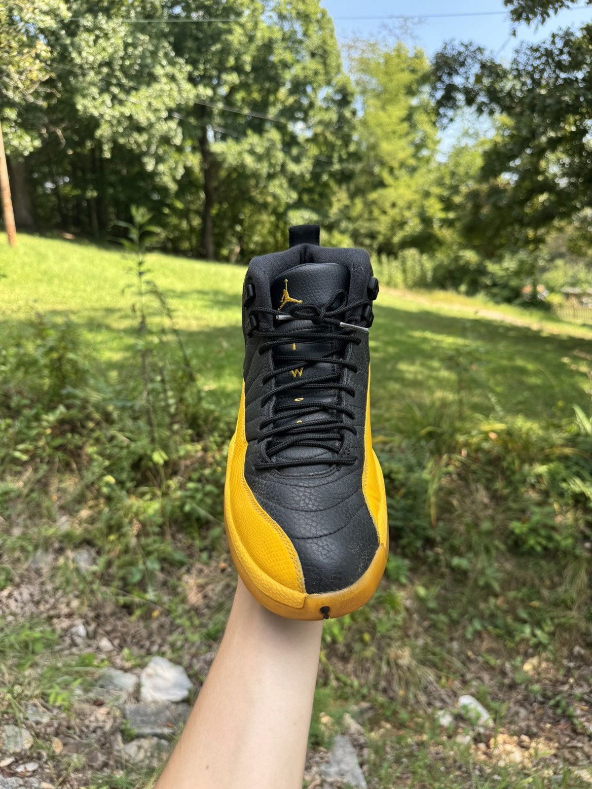 Jordan Brand × Nike Jordan 12 Size US 9 / EU 42 - 9 Thumbnail