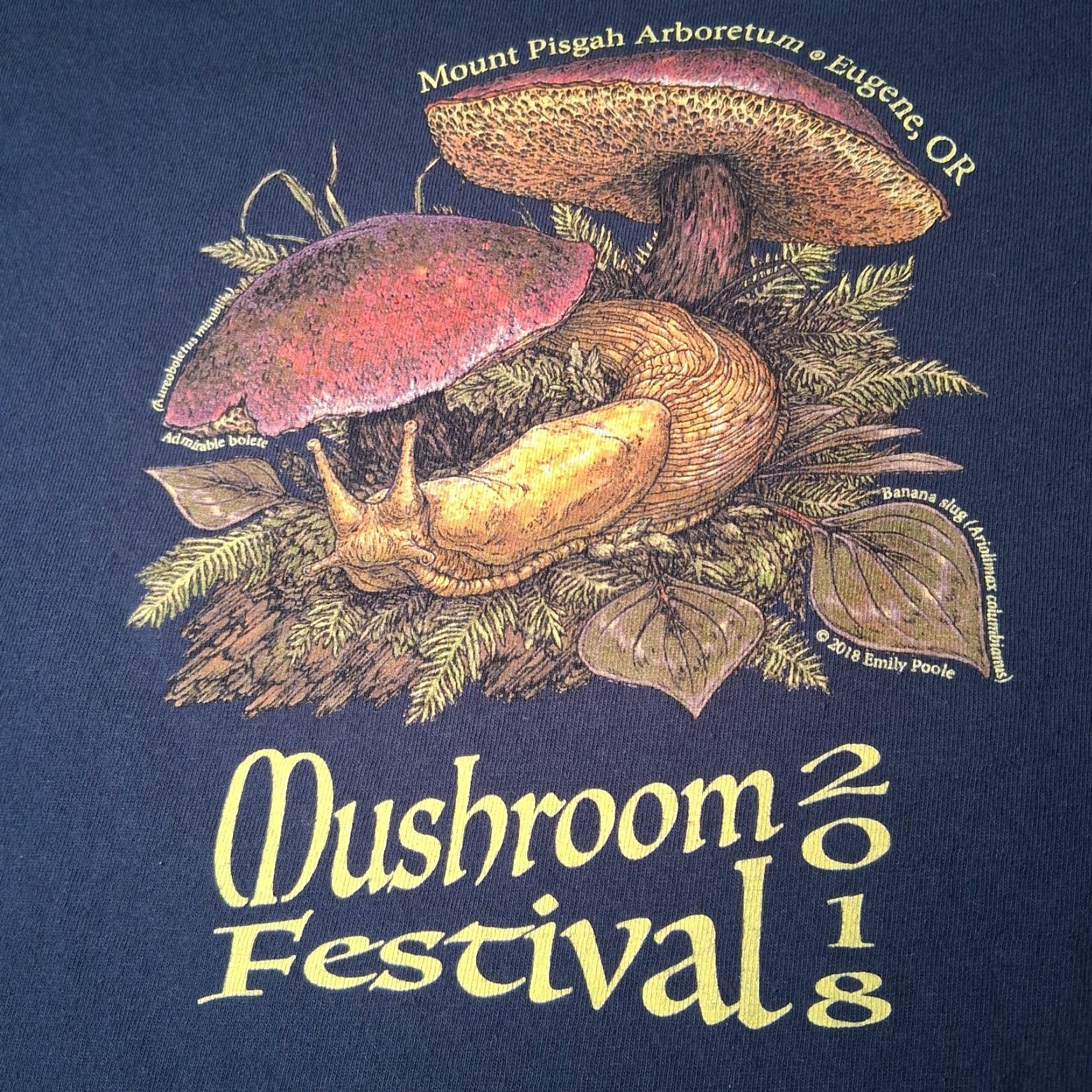 Port & Company Port & Company Shirt Long Sleeve Women M Blue Mushroom Festival Eugene Oregon 2018 READ Size M / US 6-8 / IT 42-44 - 2 Thumbnail