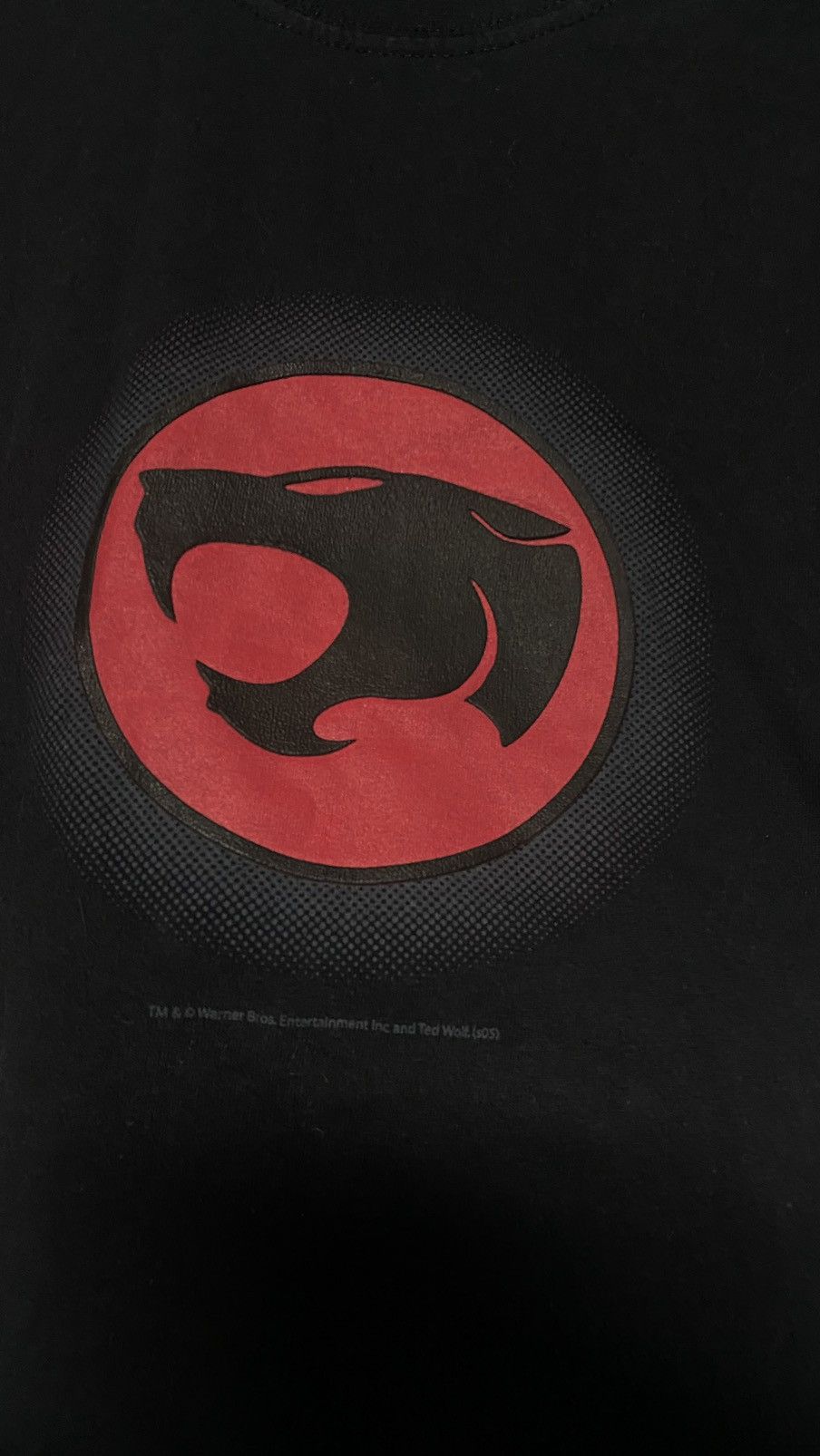Warner Bros Vintage Warner Bros Thundercats 00s T-shirt size M Size US M / EU 48-50 / 2 - 5 Thumbnail