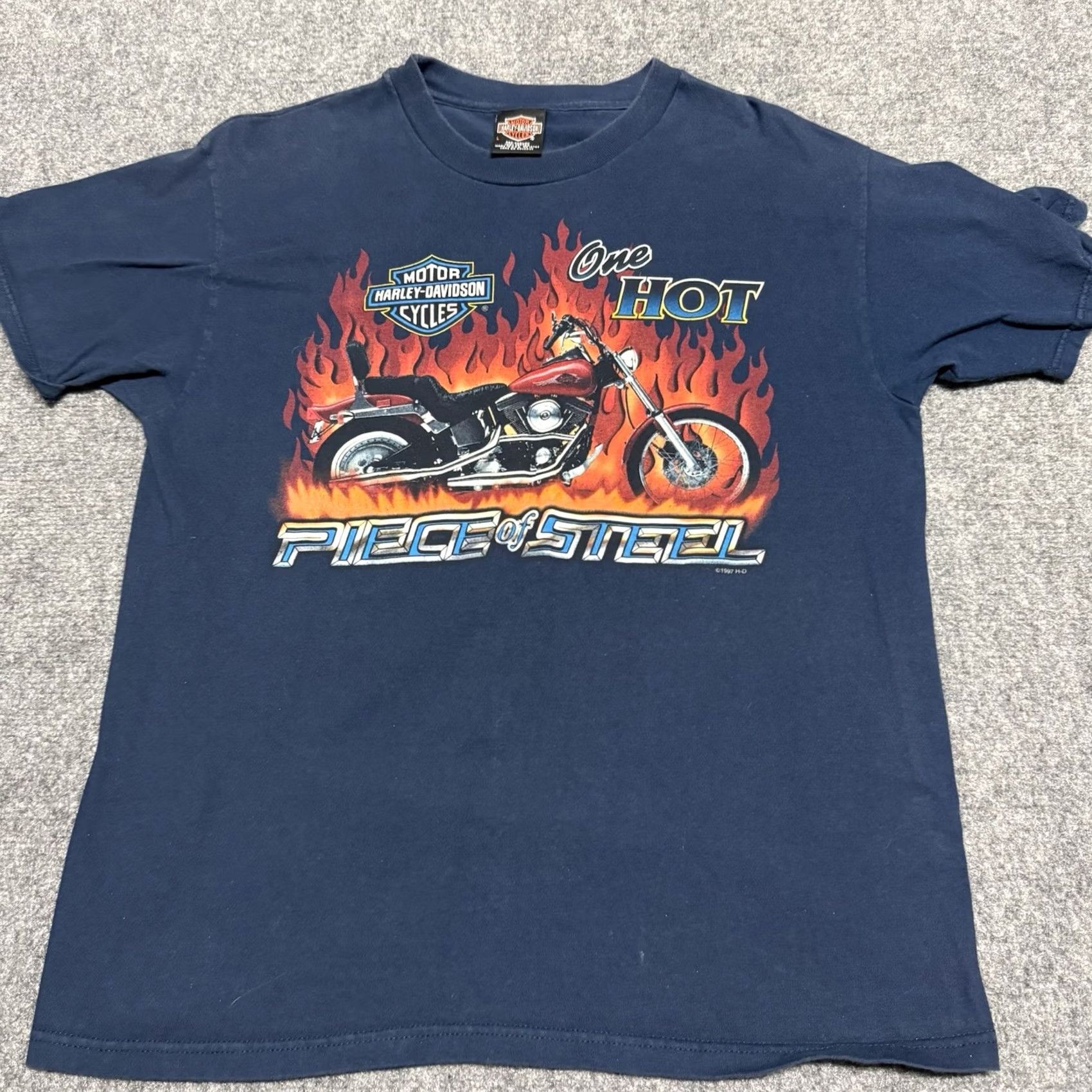 Harley Davidson Harley-Davidson Shirt Mens L Blue Alberta Canada Skull 1997 VTG 90s USA Hanes Beefy-T Size US L / EU 52-54 / 3 - 3 Thumbnail