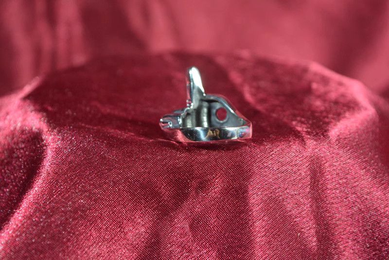Jewelry Fxck Hip-hop Jewelry Rings Open Size Chrome Ring (Size 7-13) Size ONE SIZE - 4 Thumbnail