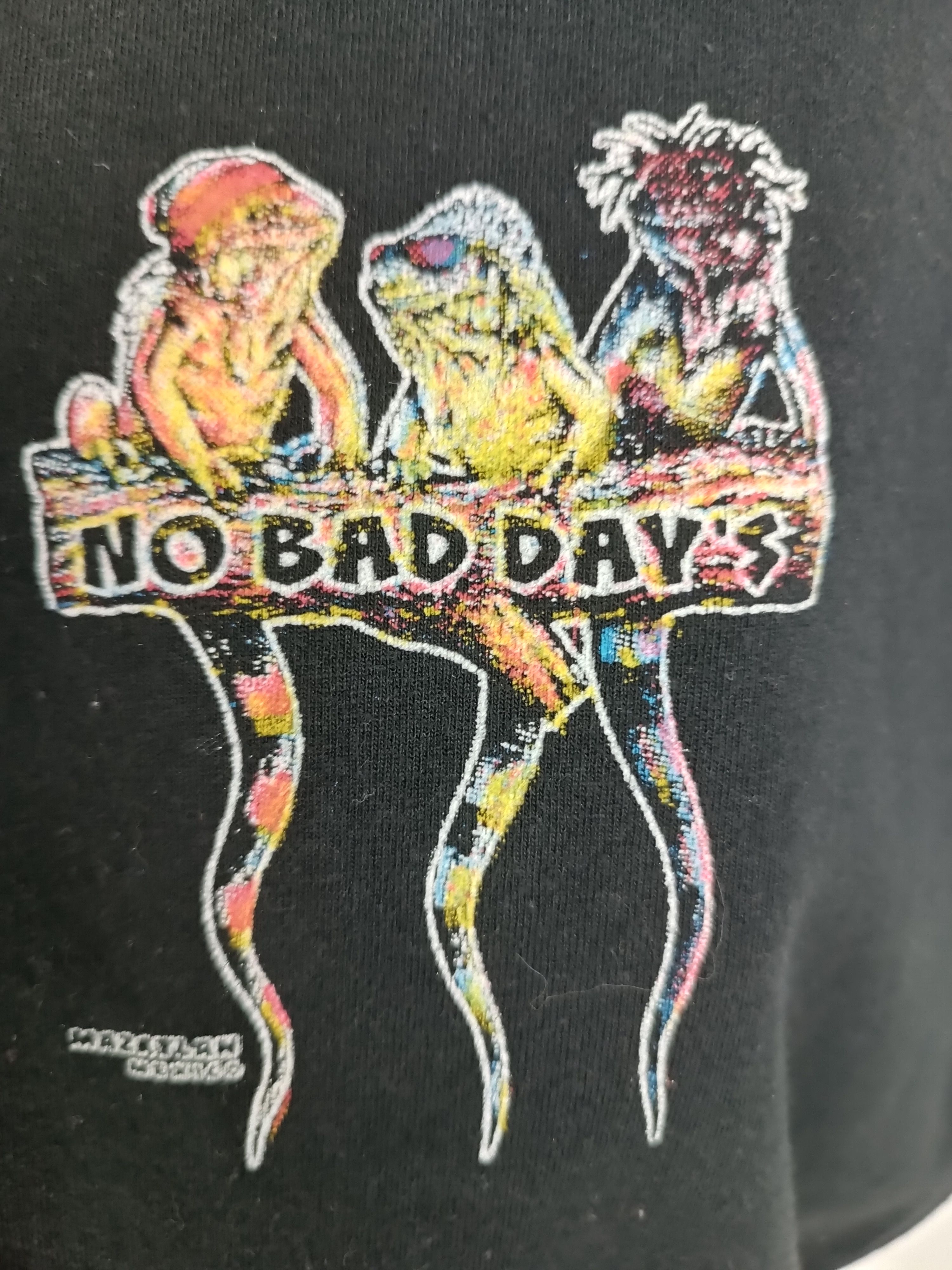 Other VINTAGE NO BAD DAYS MAZATLAN IGUANA PETS CAT DOG CUTE TEE Size US M / EU 48-50 / 2 - 8 Thumbnail