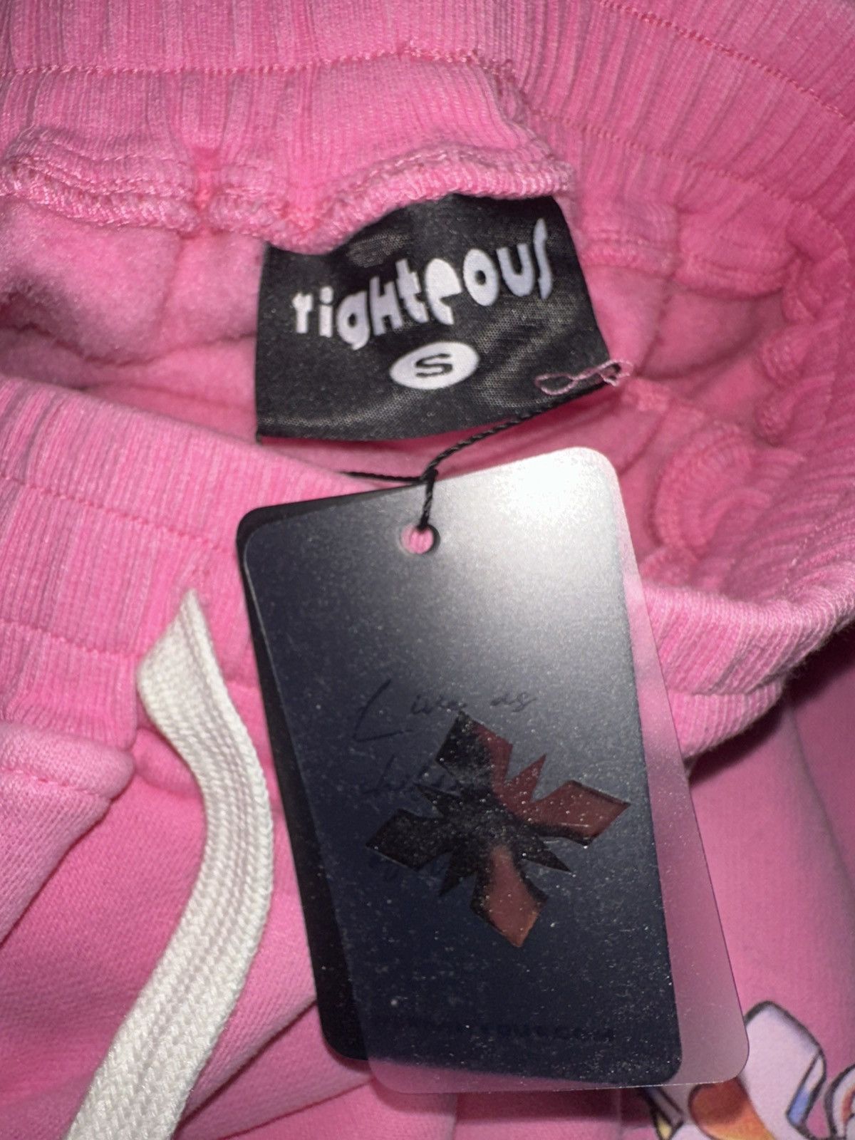 Other We Are Righteous "Pink Risen King" Cotton Shorts Size US 31 - 7 Thumbnail
