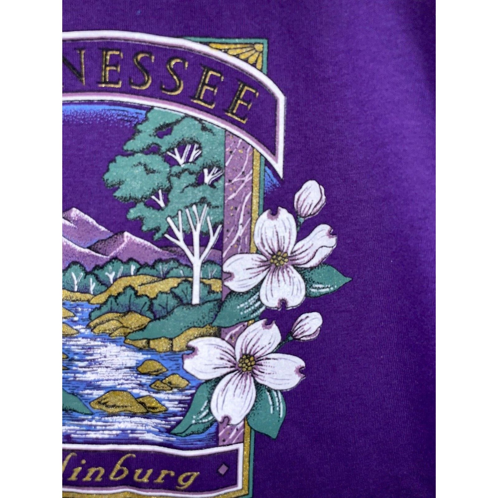 Jerzees Vintage Gatlinburg Tennessee Shirt Mountain Tee VTG 90s L Size US L / EU 52-54 / 3 - 3 Thumbnail